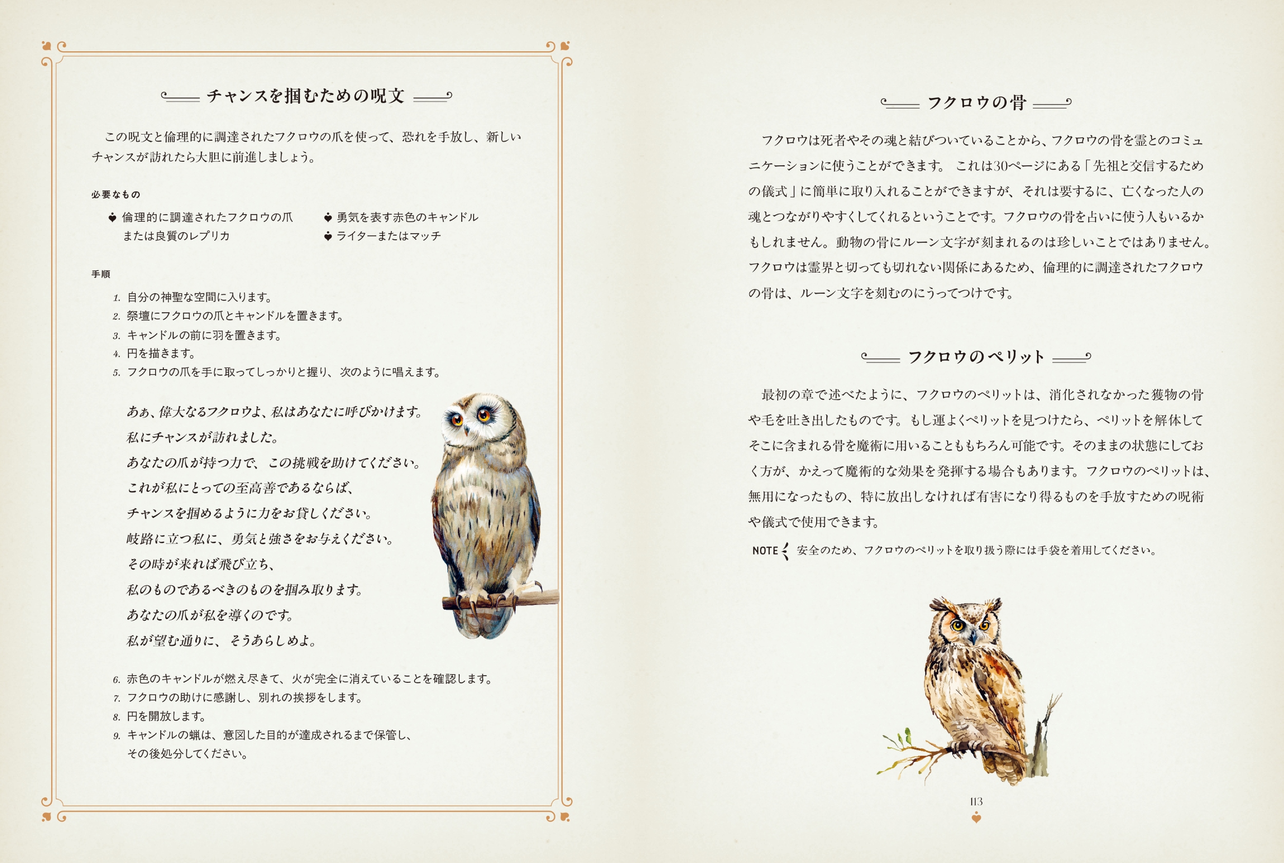 サムネイル画像5