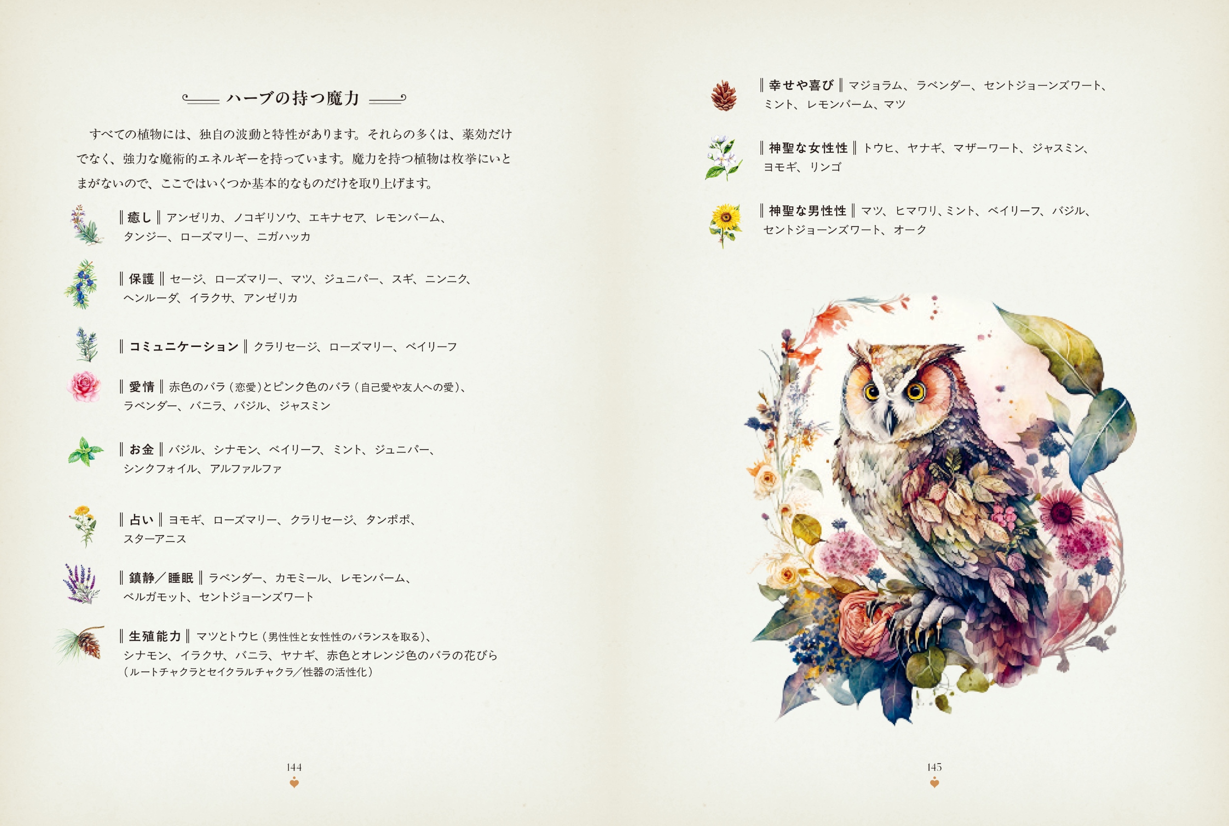 サムネイル画像6