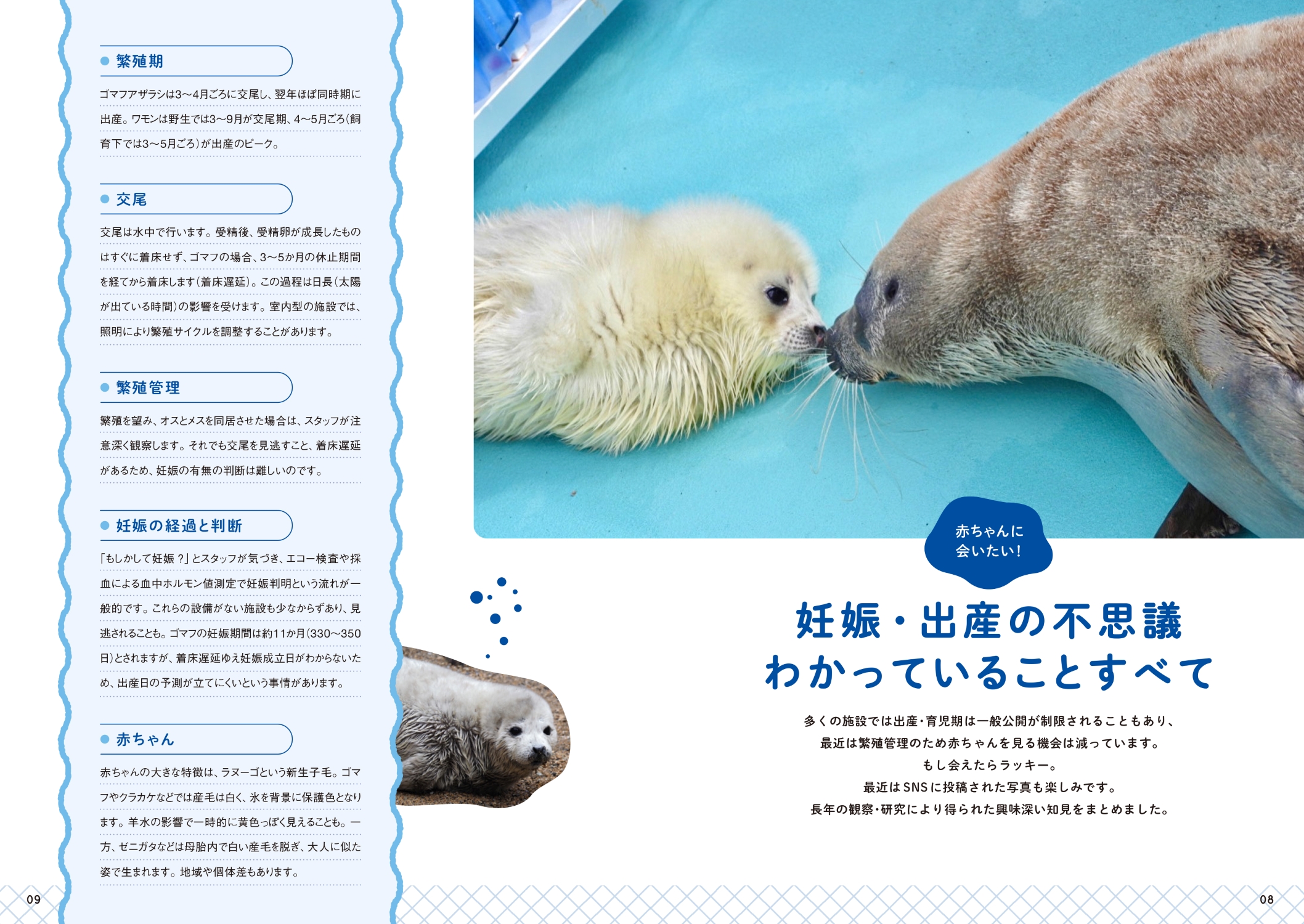 サムネイル画像4