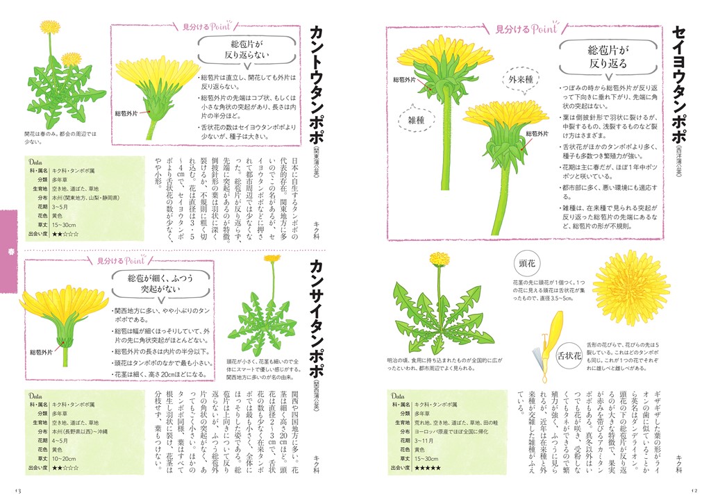 サムネイル画像2