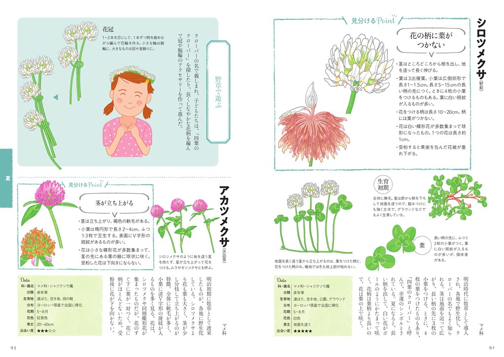 サムネイル画像5