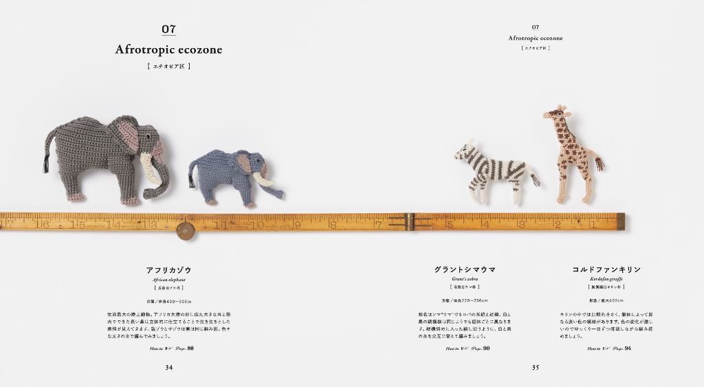 サムネイル画像4