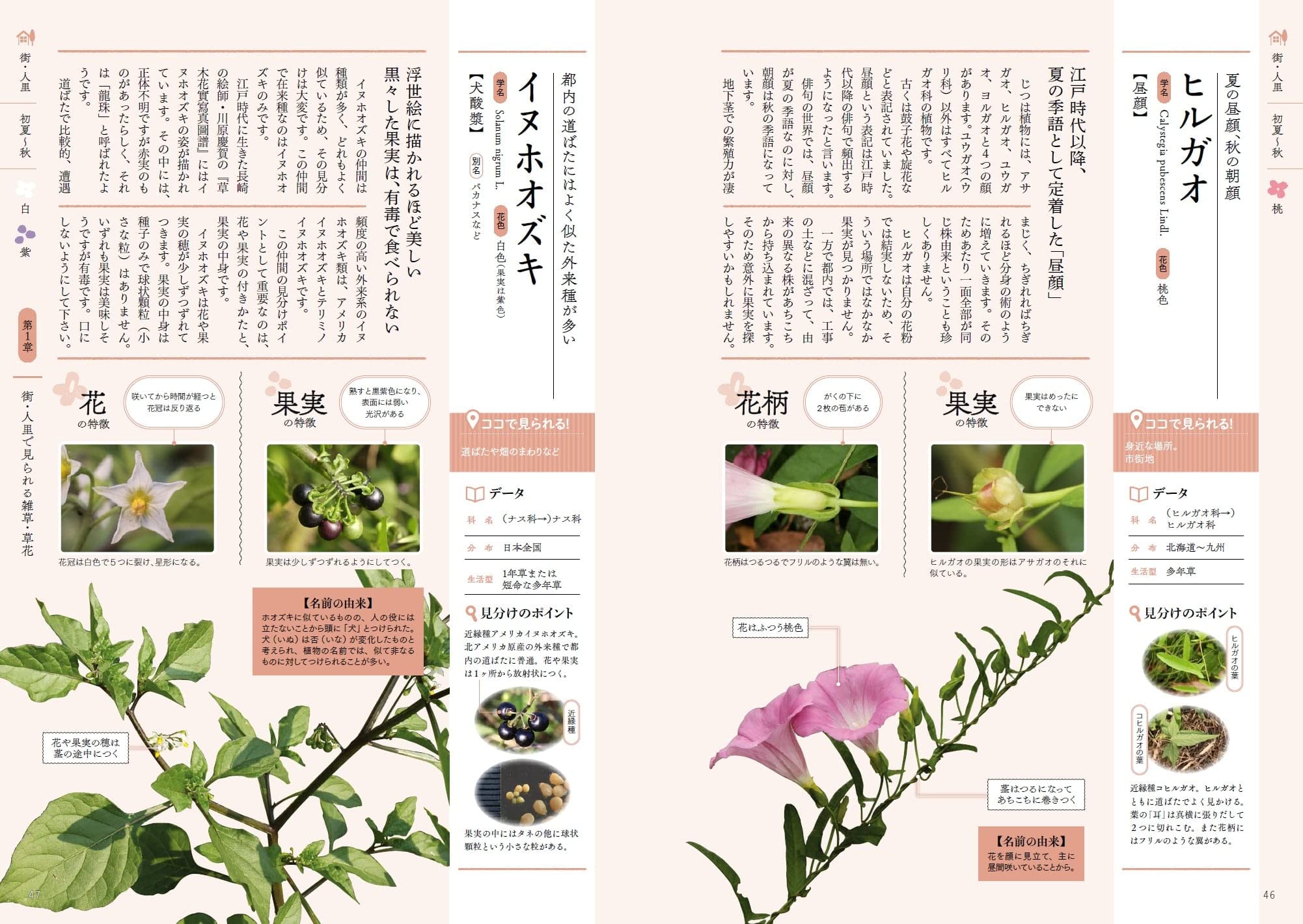 サムネイル画像3