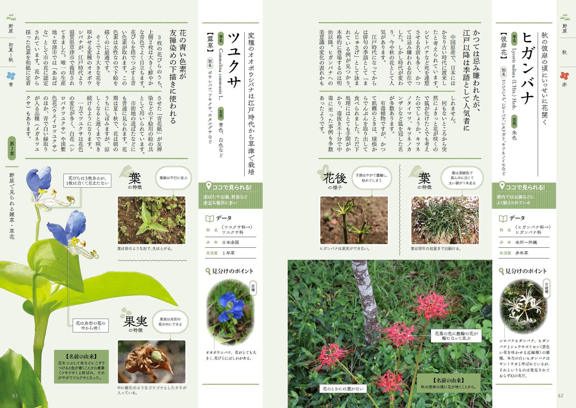 サムネイル画像4