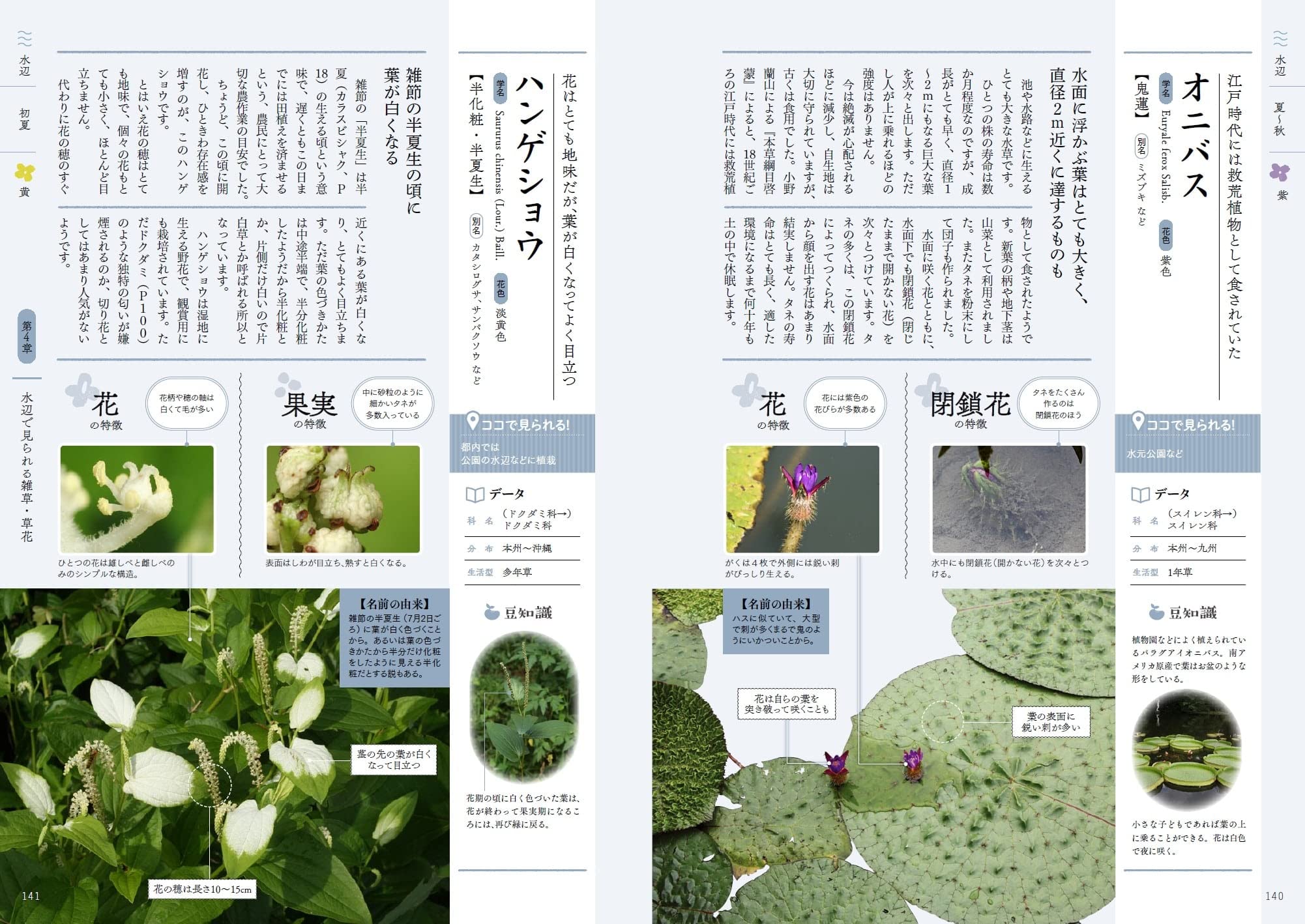 サムネイル画像5