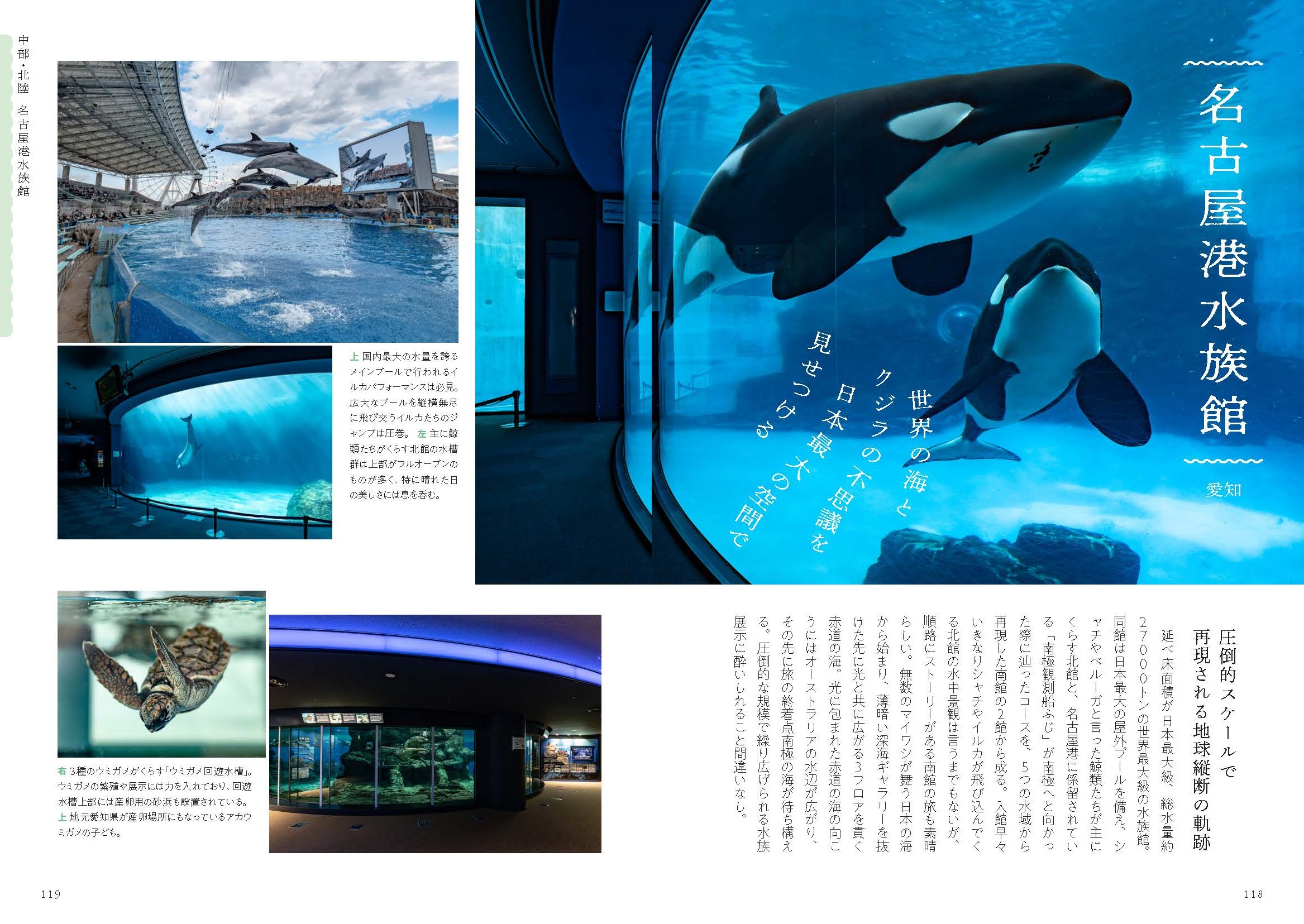サムネイル画像4