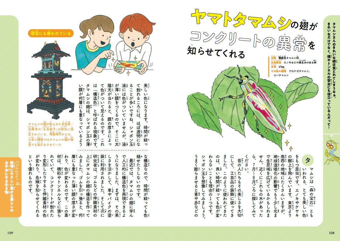 サムネイル画像4