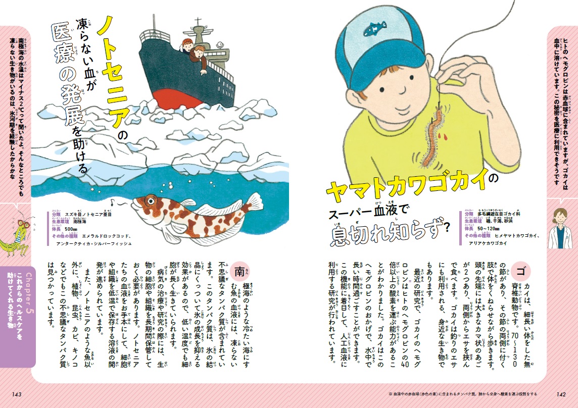 サムネイル画像5