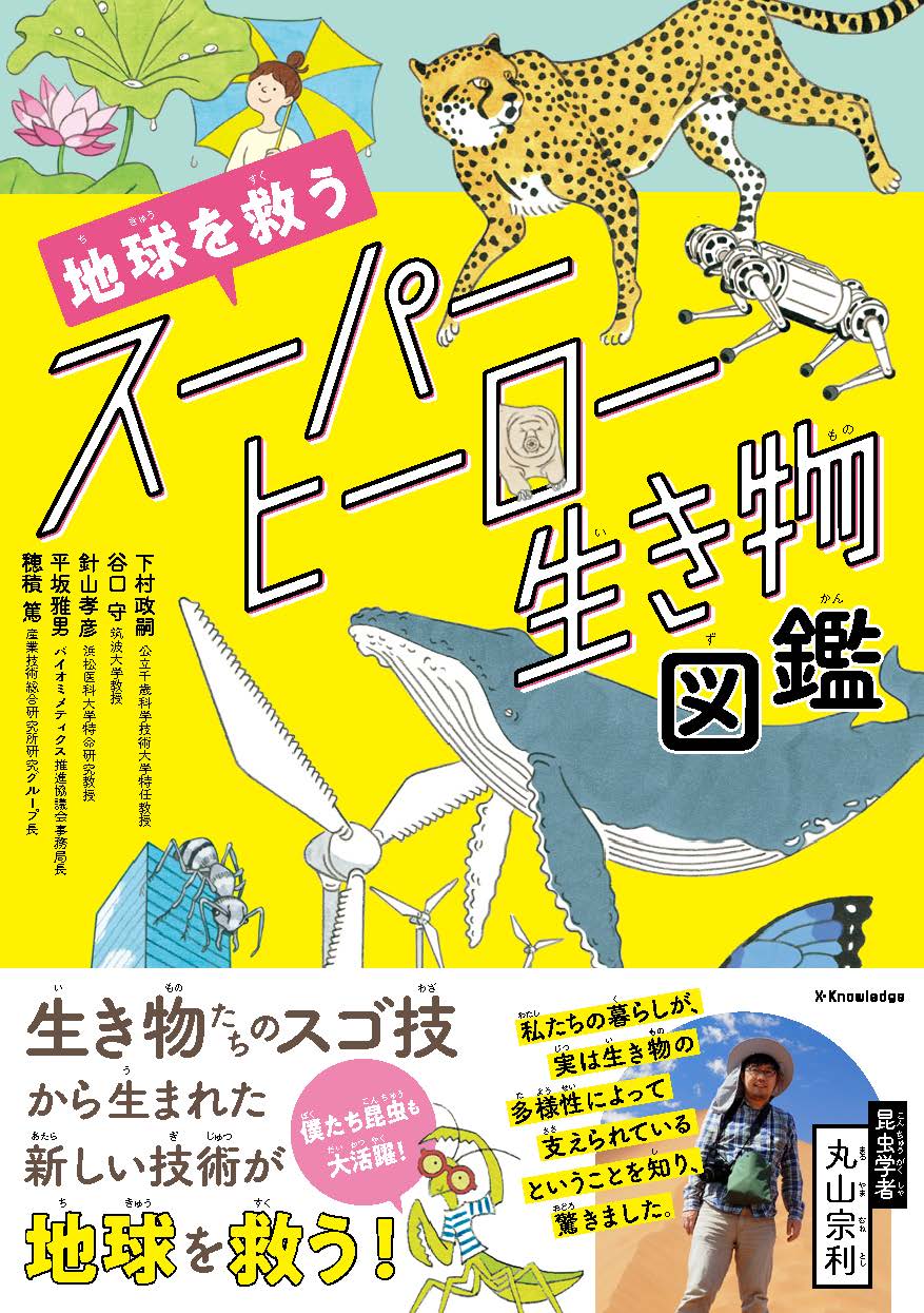 メイン画像