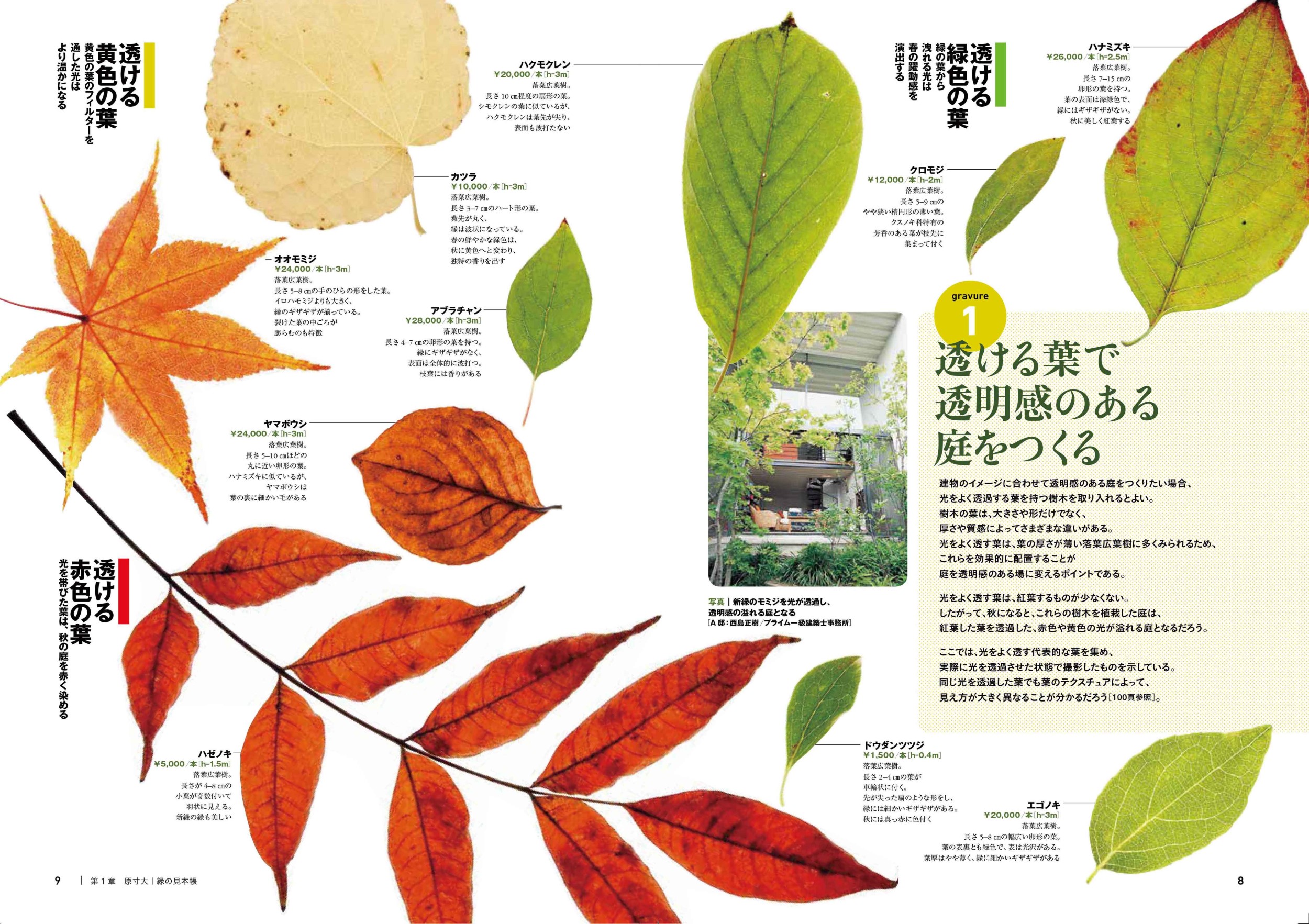サムネイル画像1