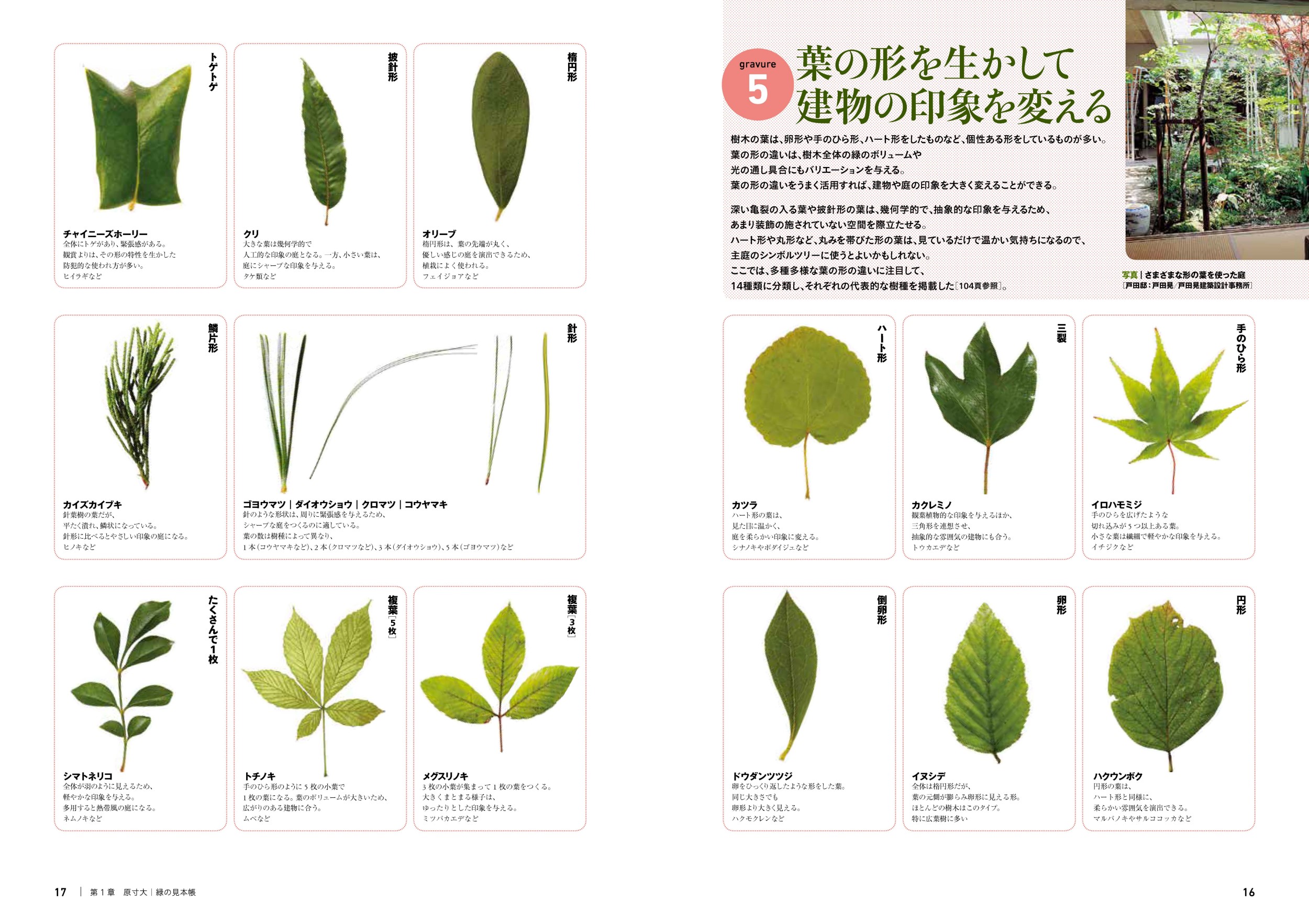 サムネイル画像2