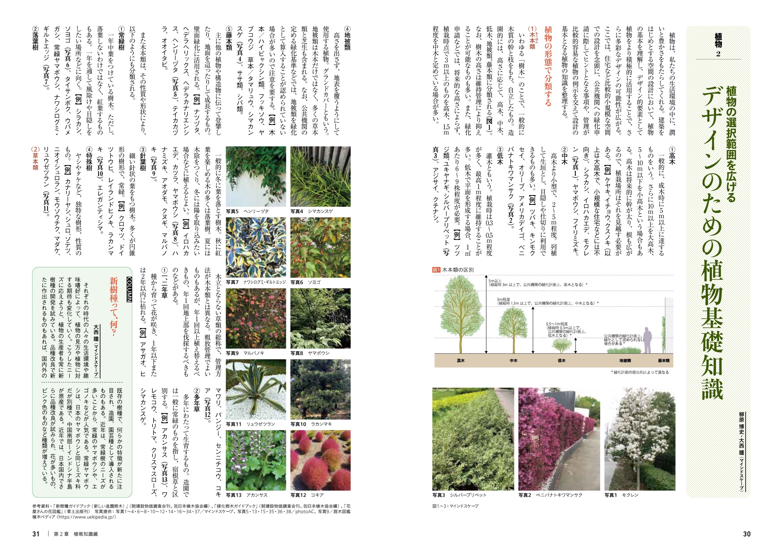 サムネイル画像3