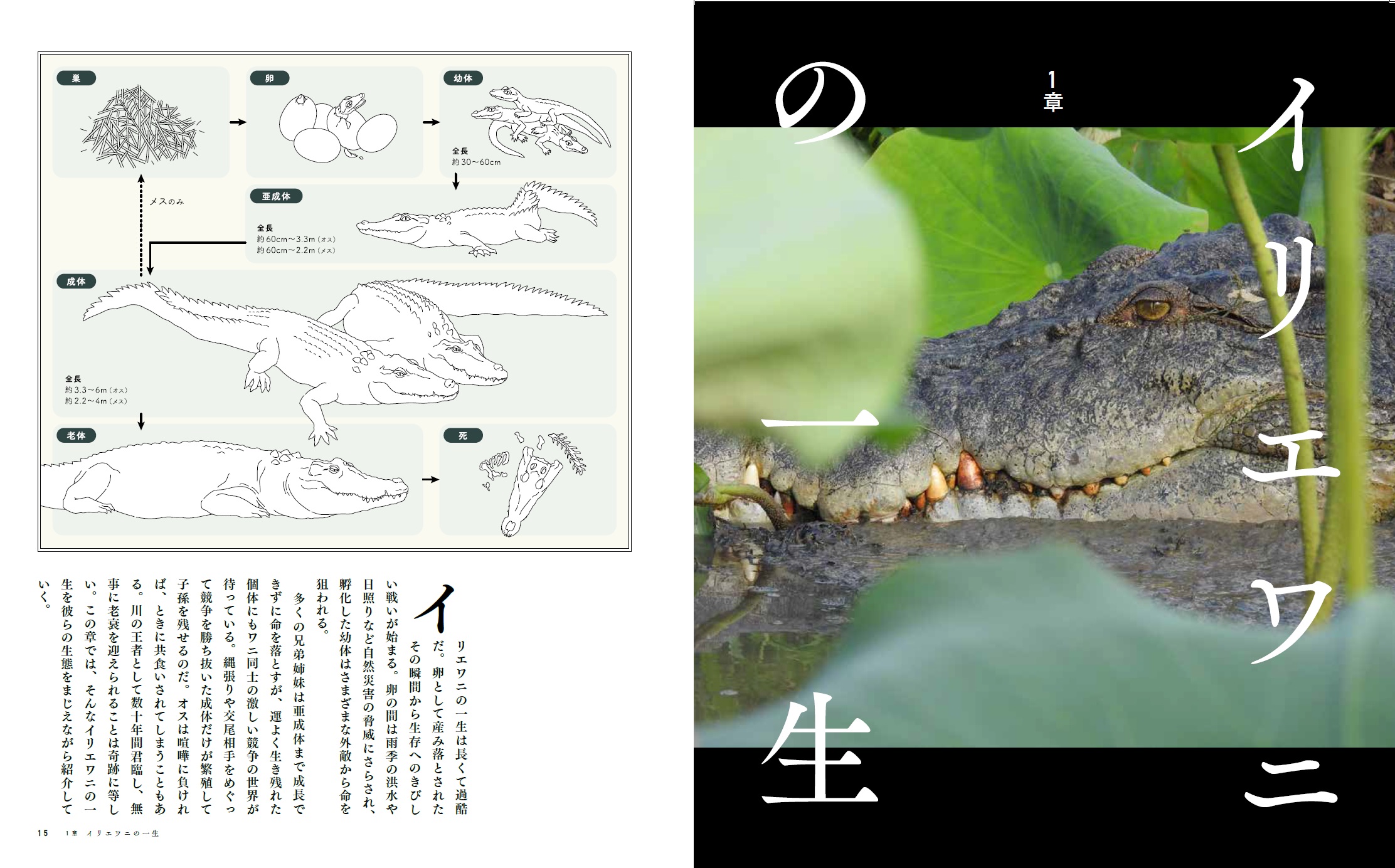サムネイル画像2