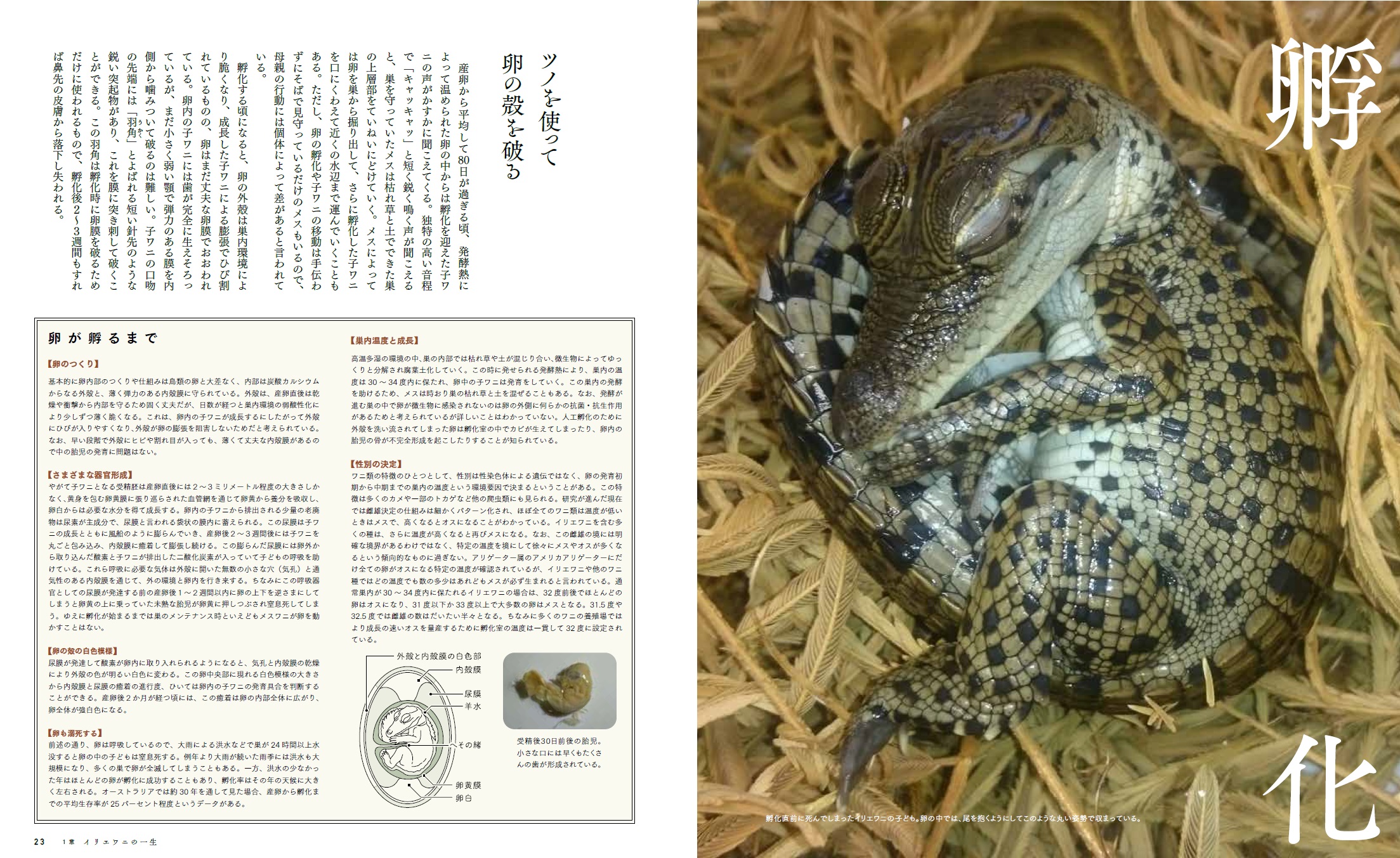 サムネイル画像3