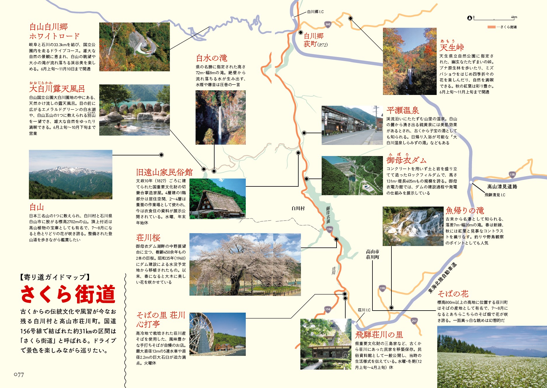 サムネイル画像3