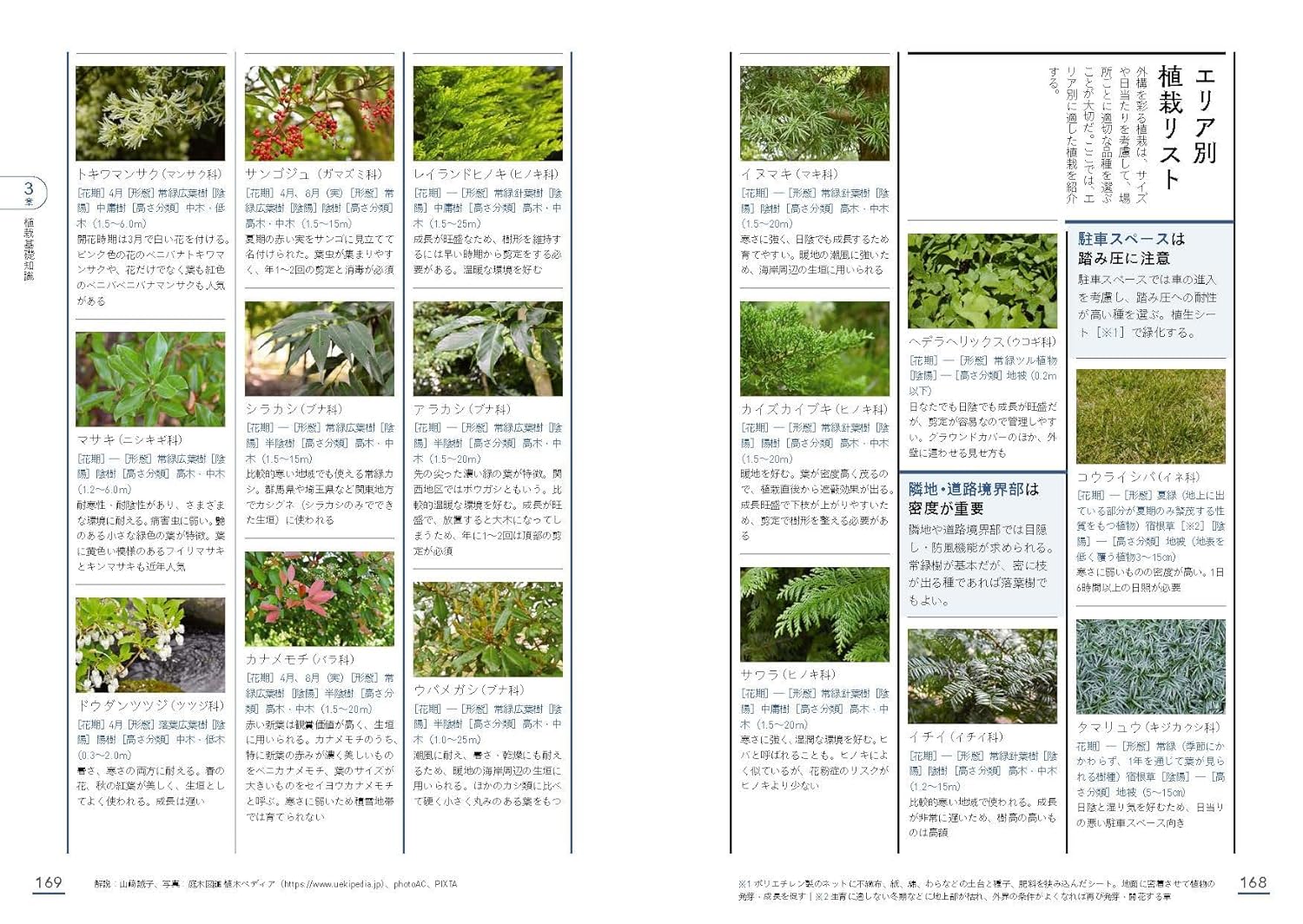 サムネイル画像6