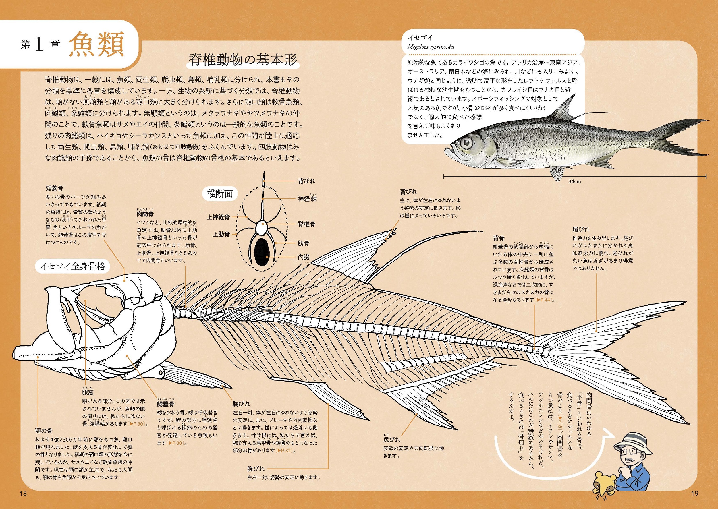 サムネイル画像2