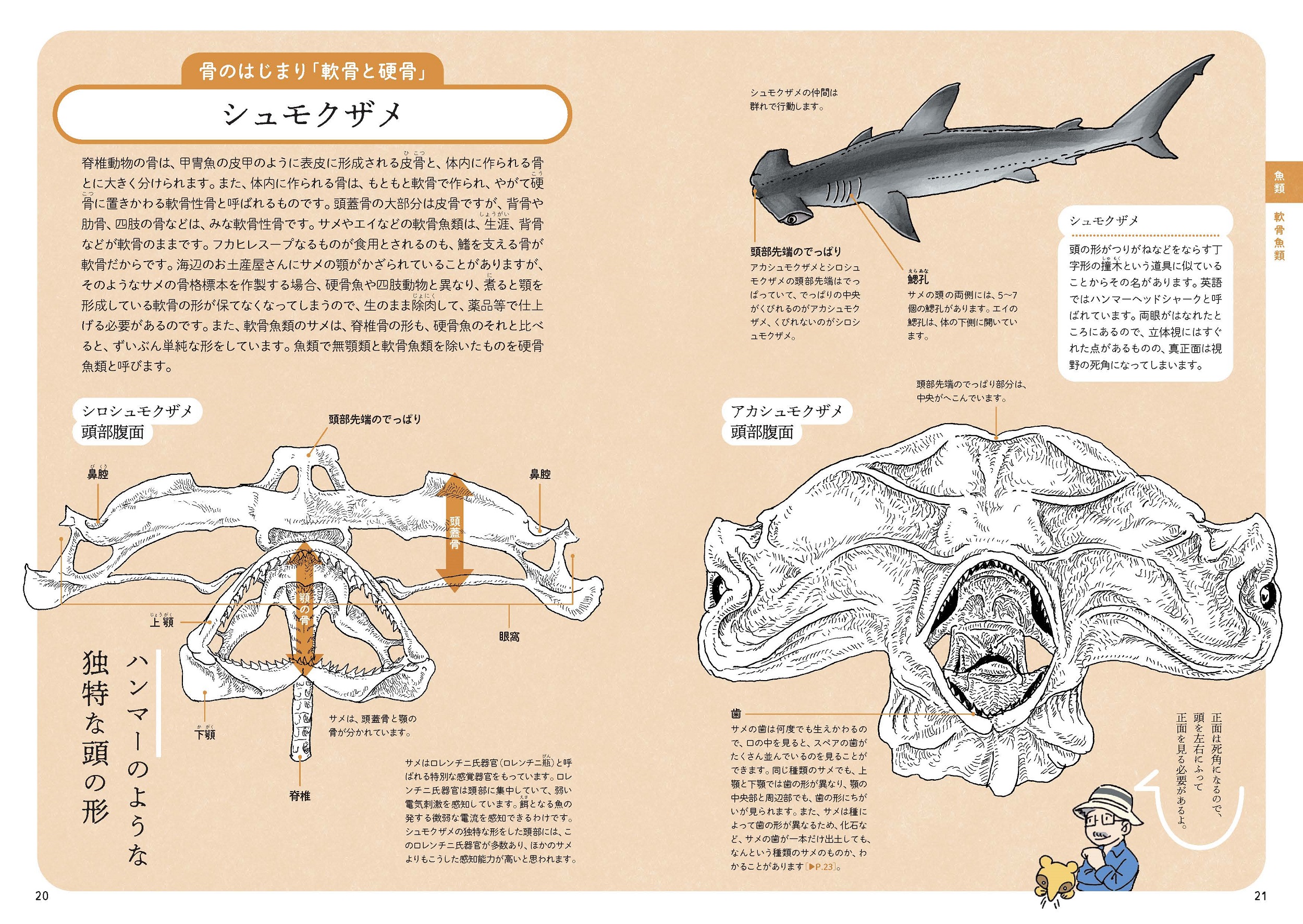 サムネイル画像3