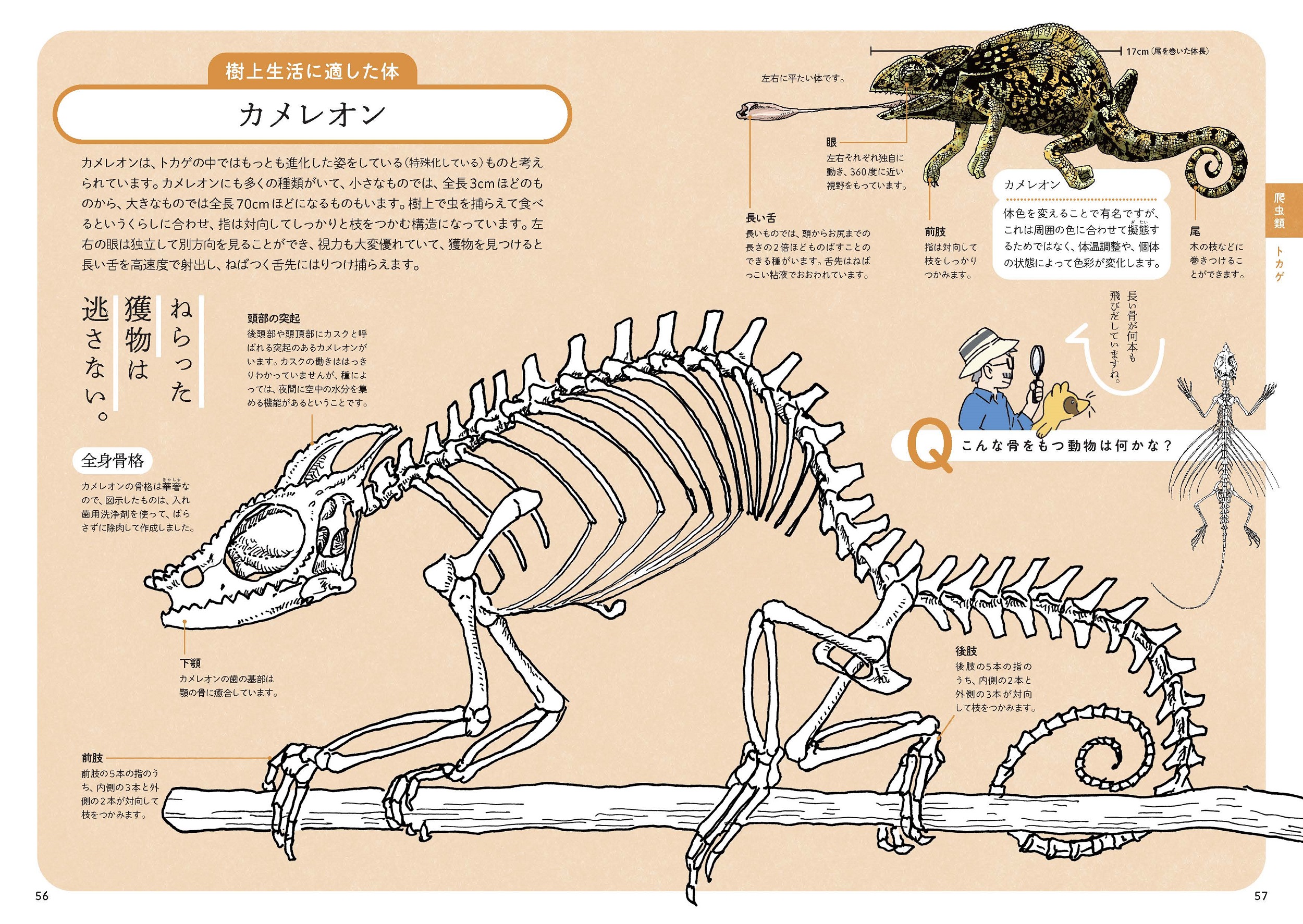 サムネイル画像4