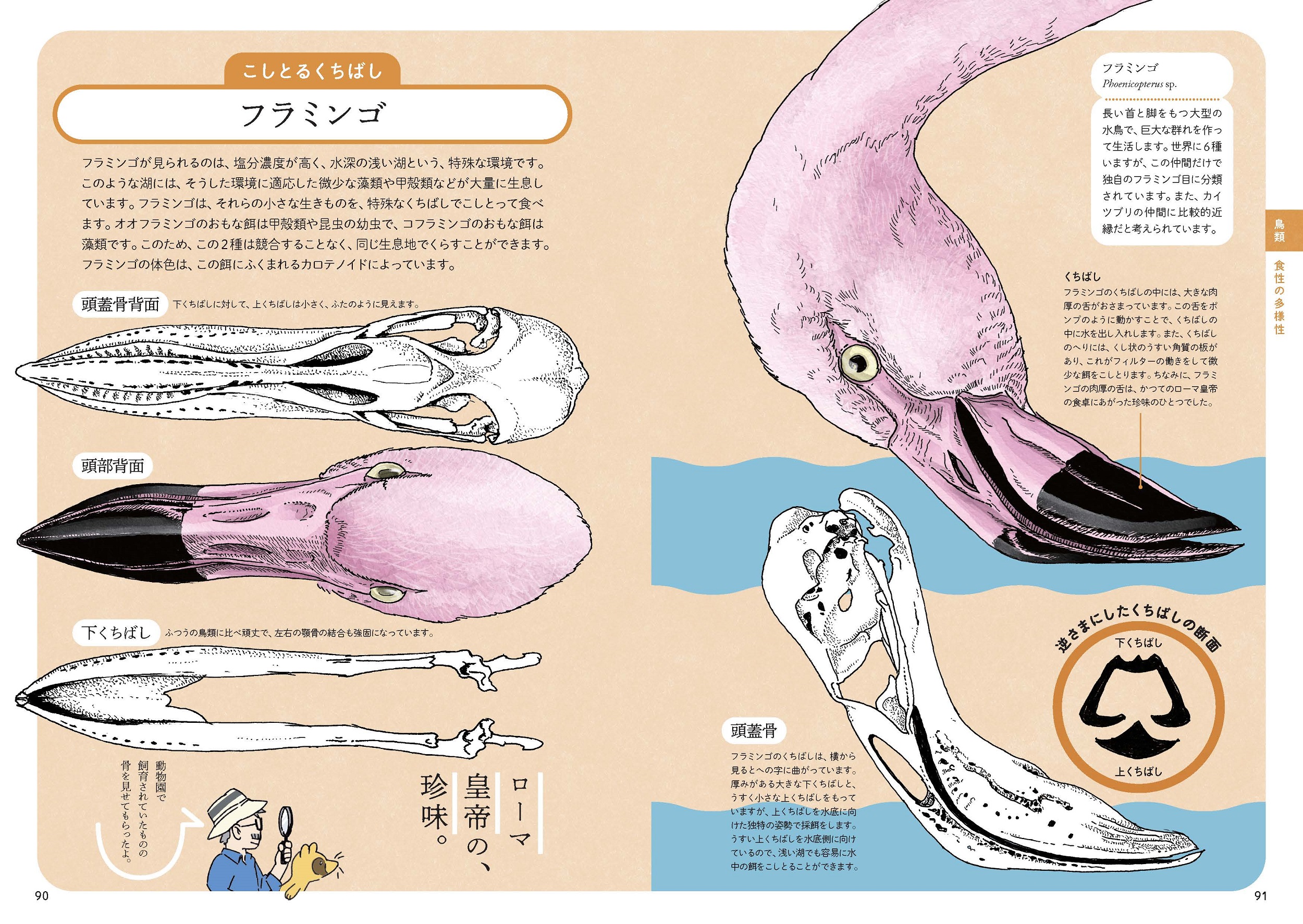 サムネイル画像5