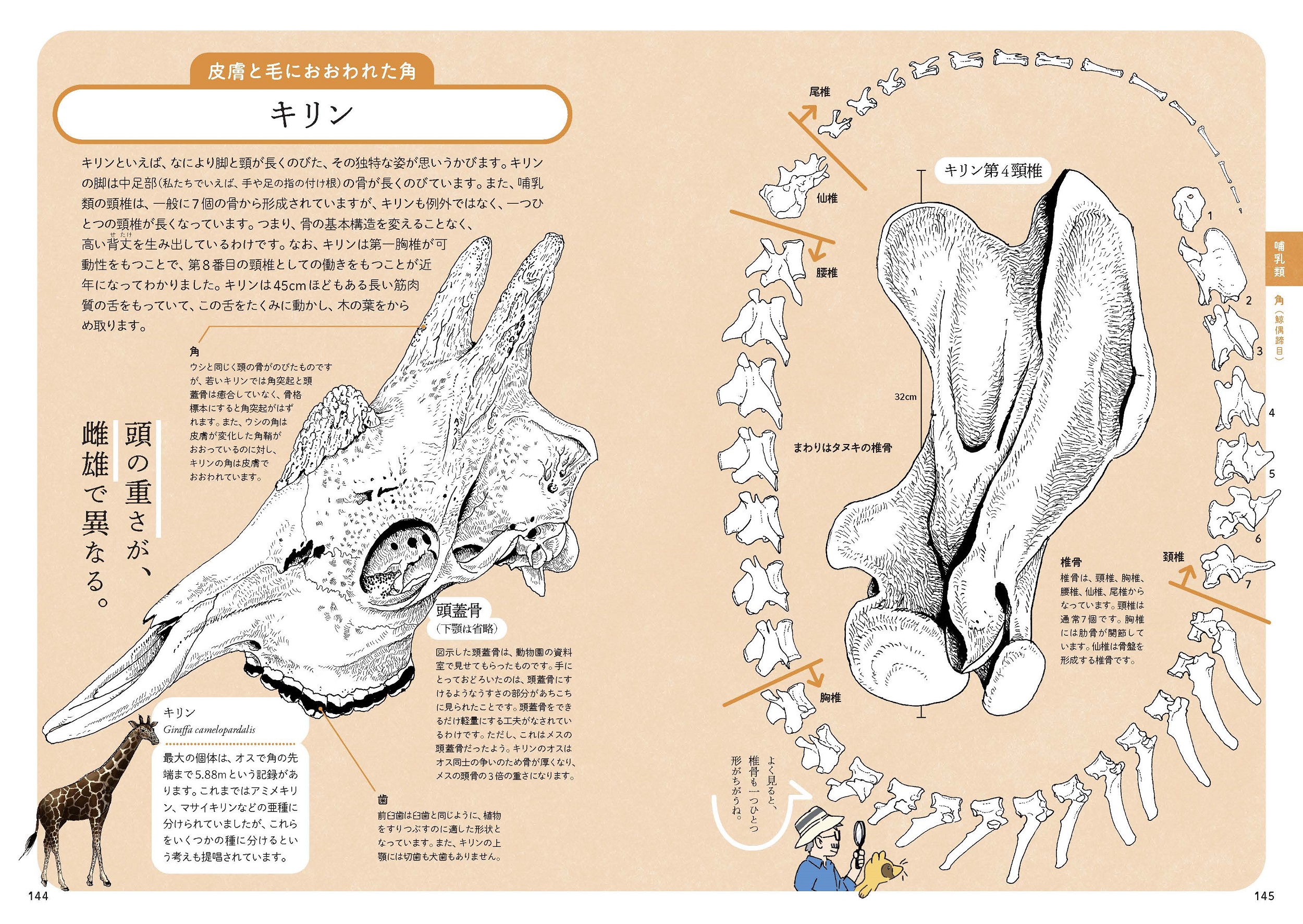 サムネイル画像6