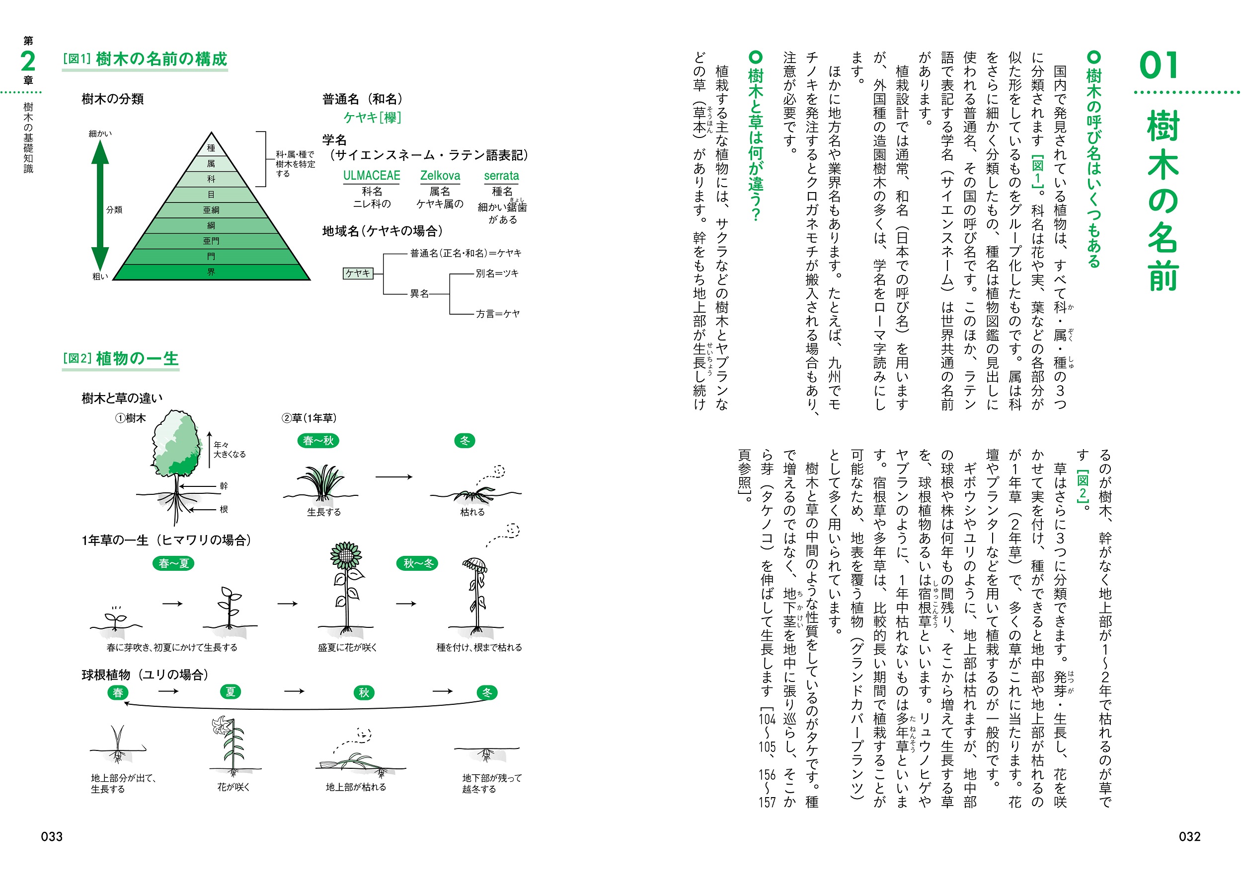 サムネイル画像2
