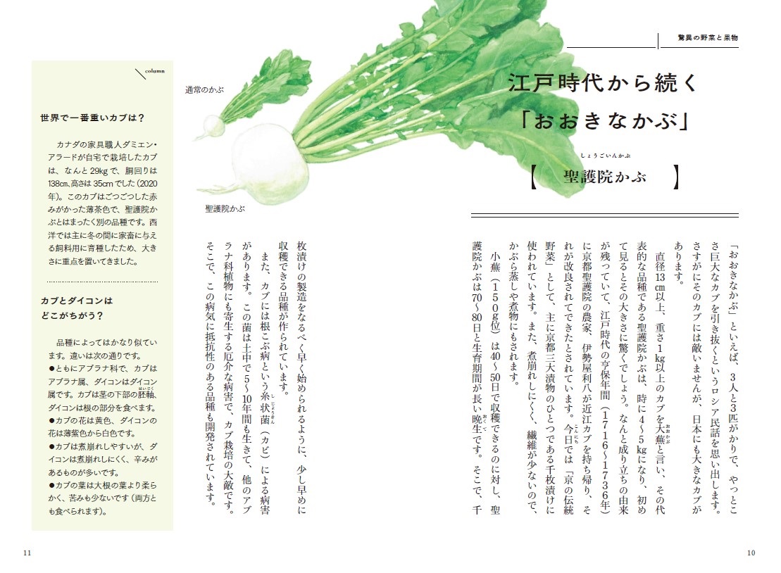 サムネイル画像4
