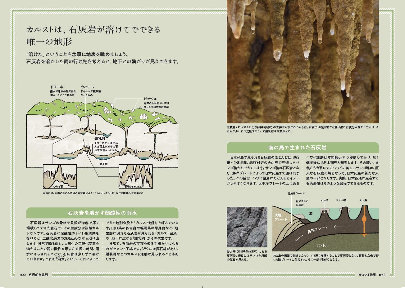 サムネイル画像6