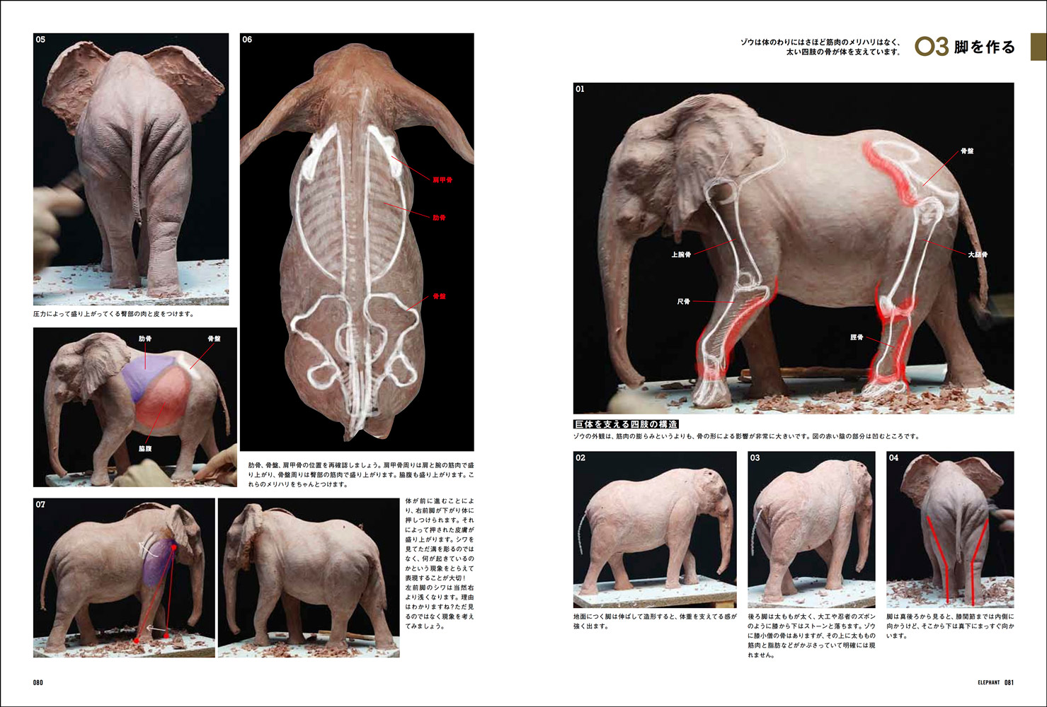 サムネイル画像2