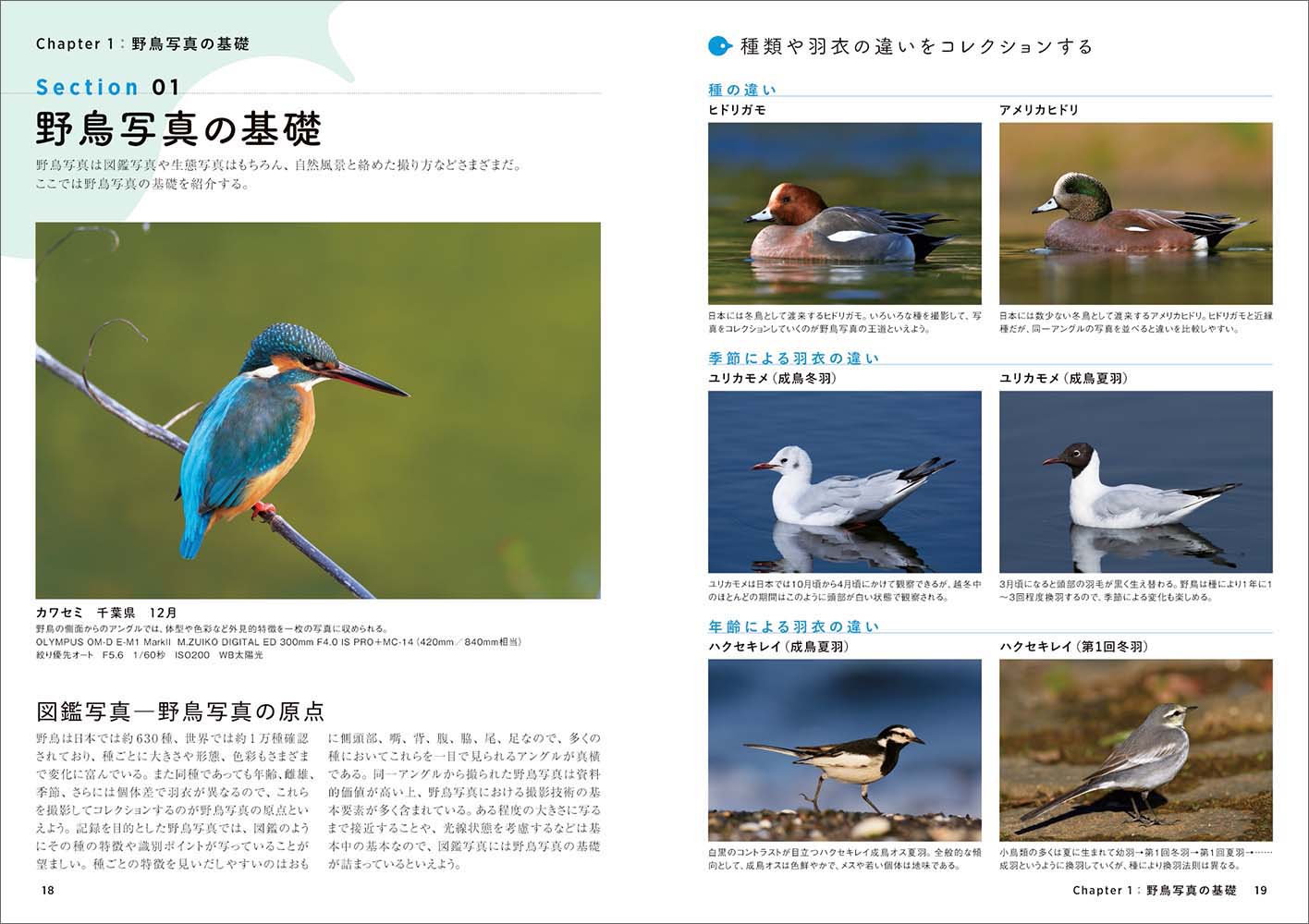 サムネイル画像1