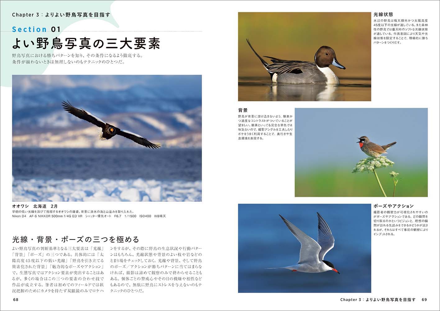 サムネイル画像3