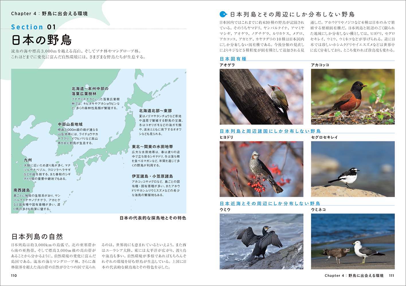 サムネイル画像4