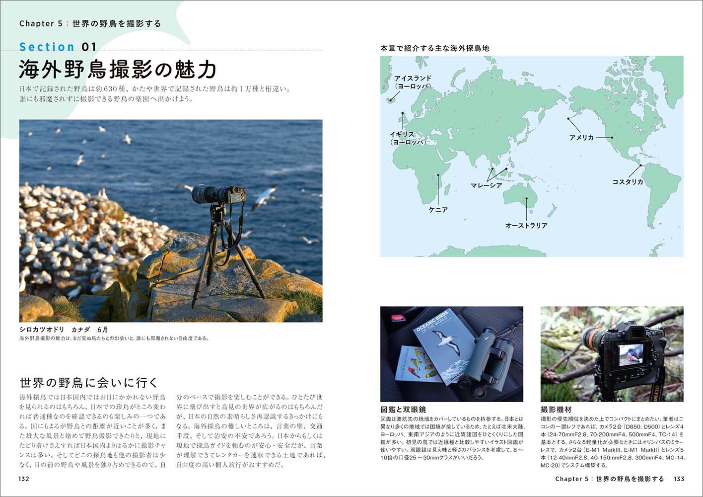 サムネイル画像5