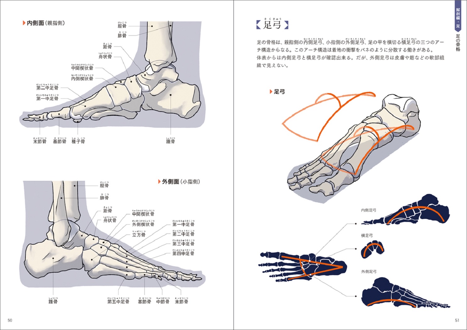 サムネイル画像5