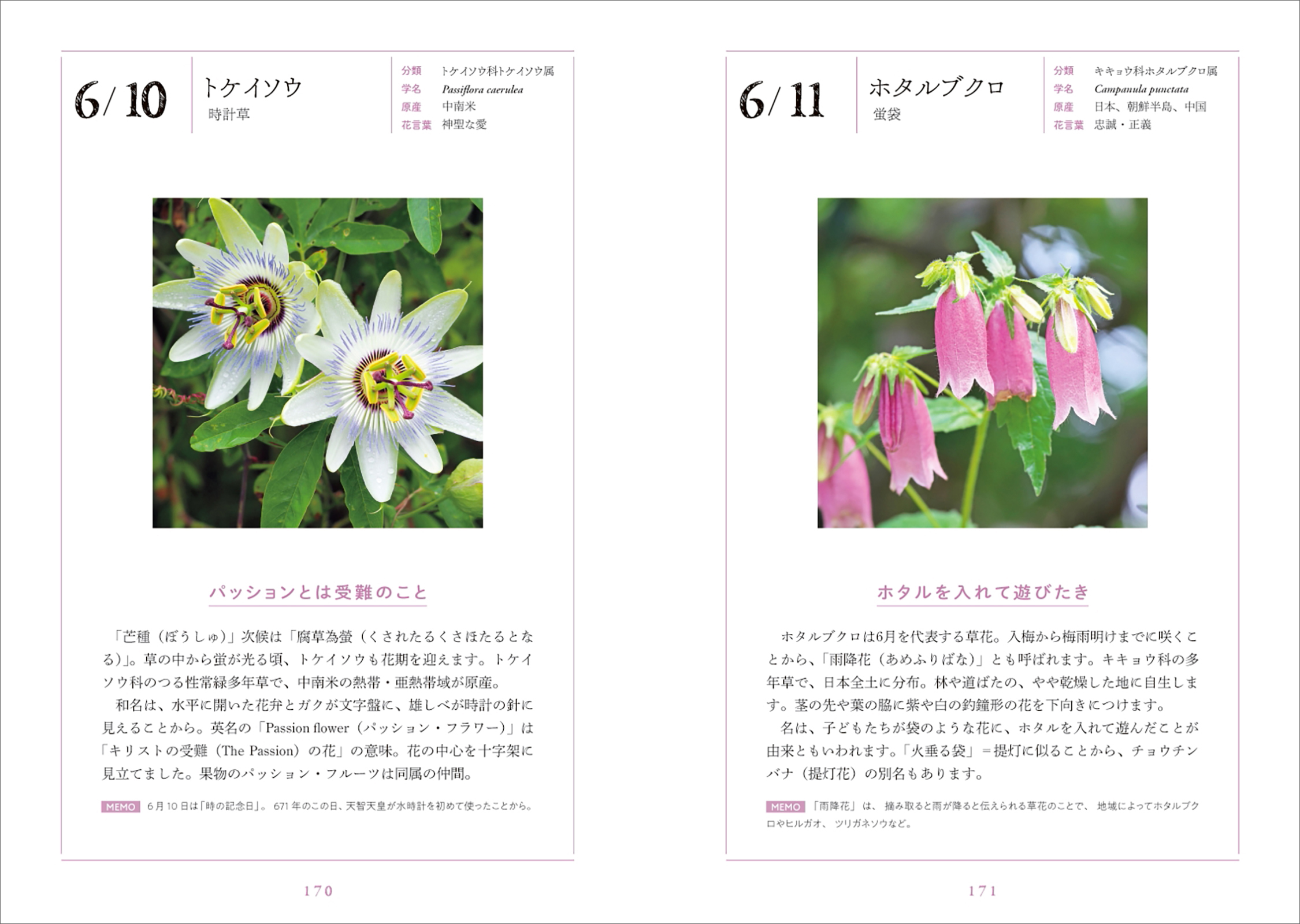 サムネイル画像6