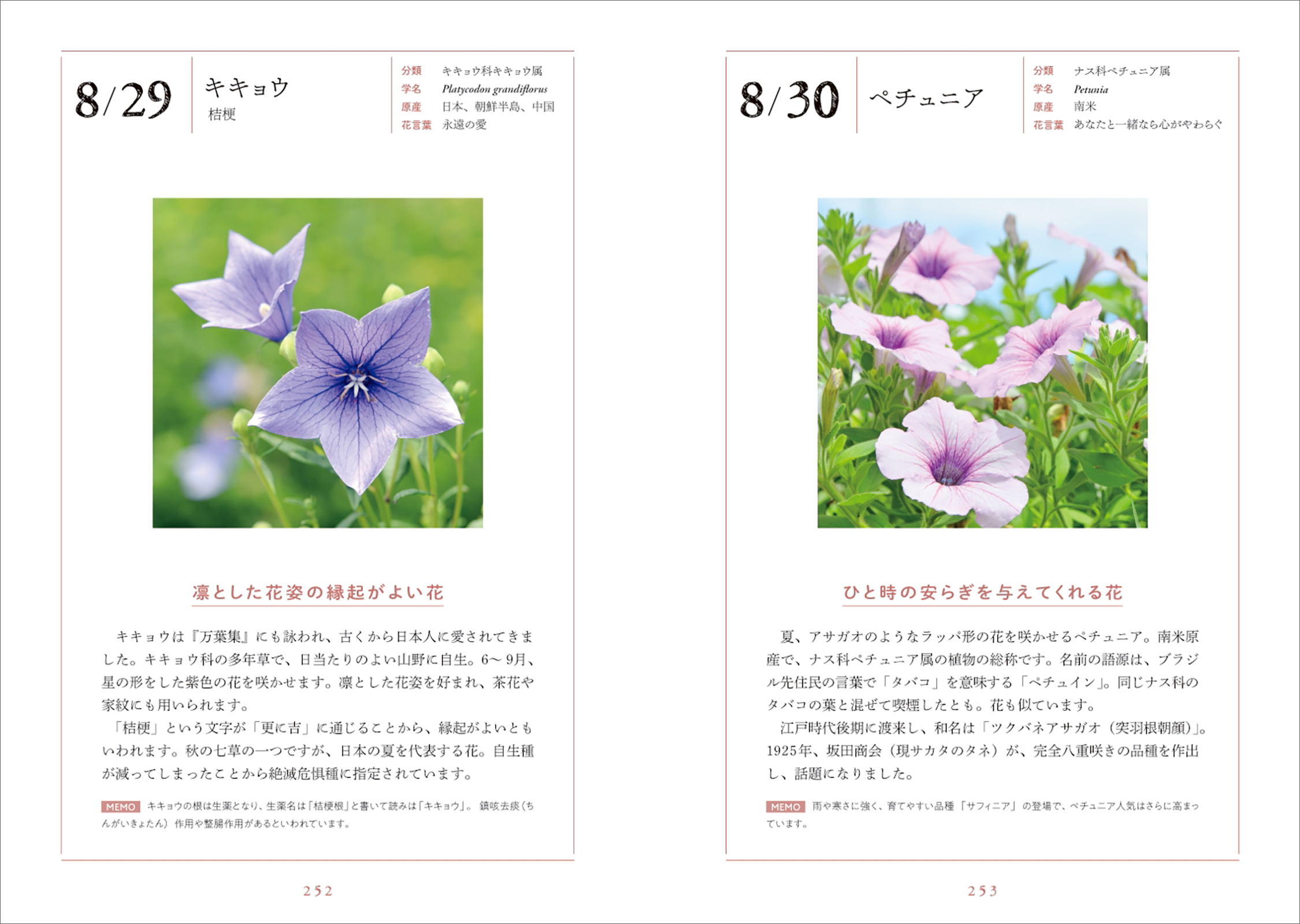 サムネイル画像7