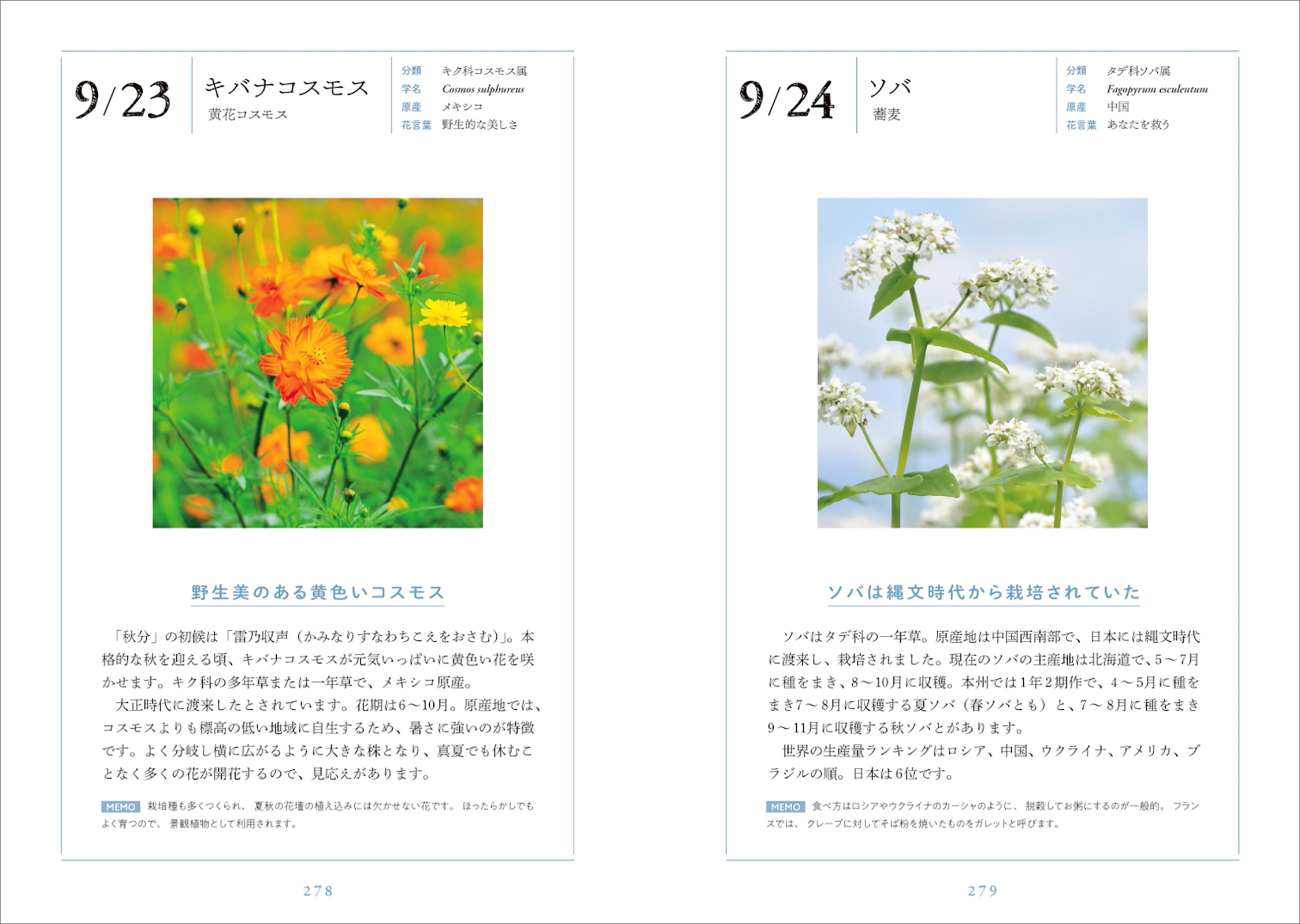 サムネイル画像8