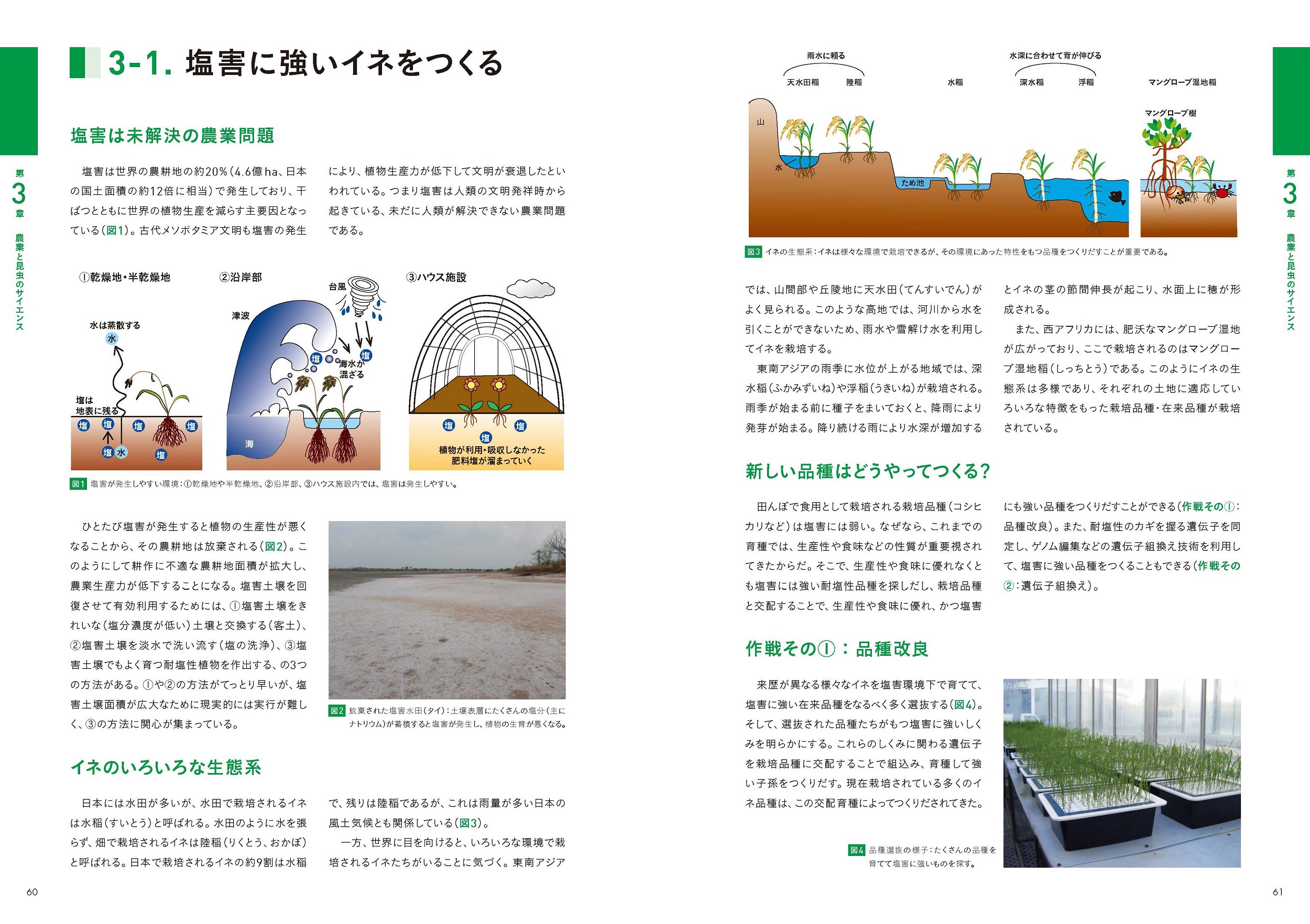 サムネイル画像3