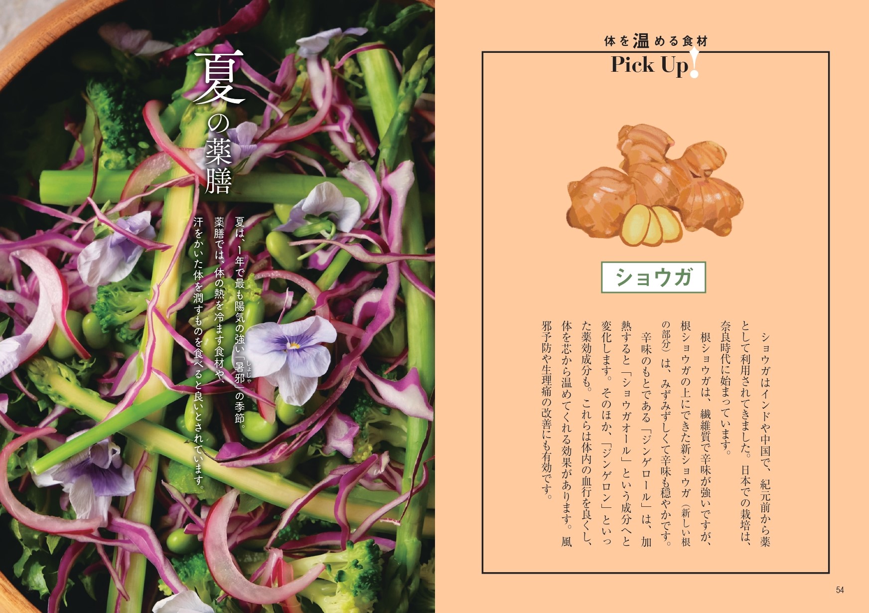 サムネイル画像2