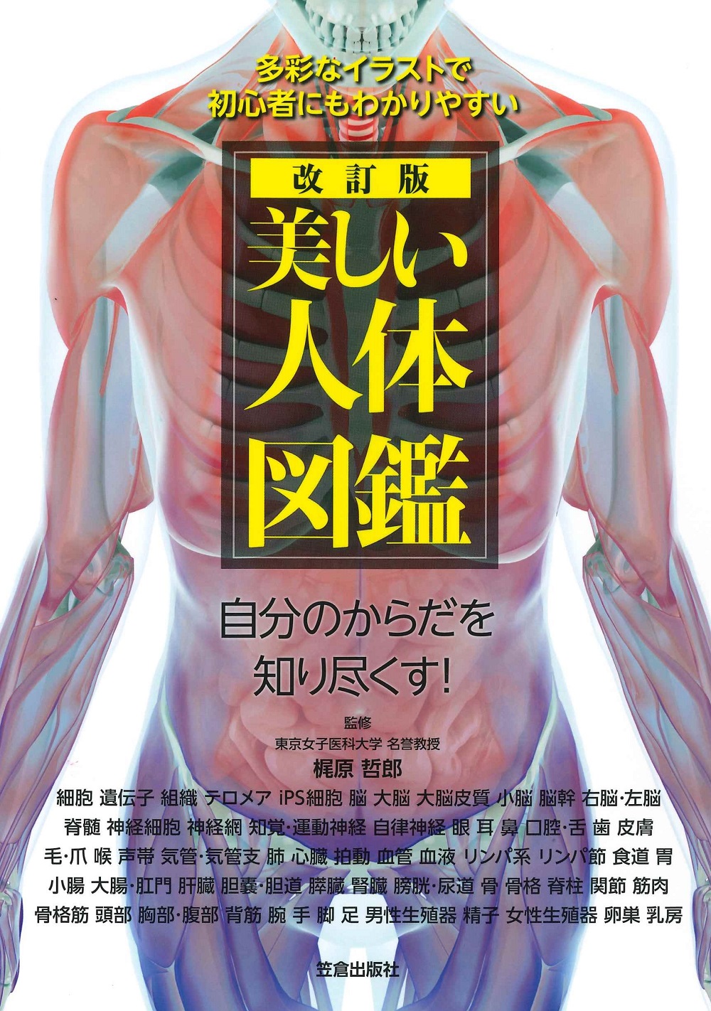 メイン画像