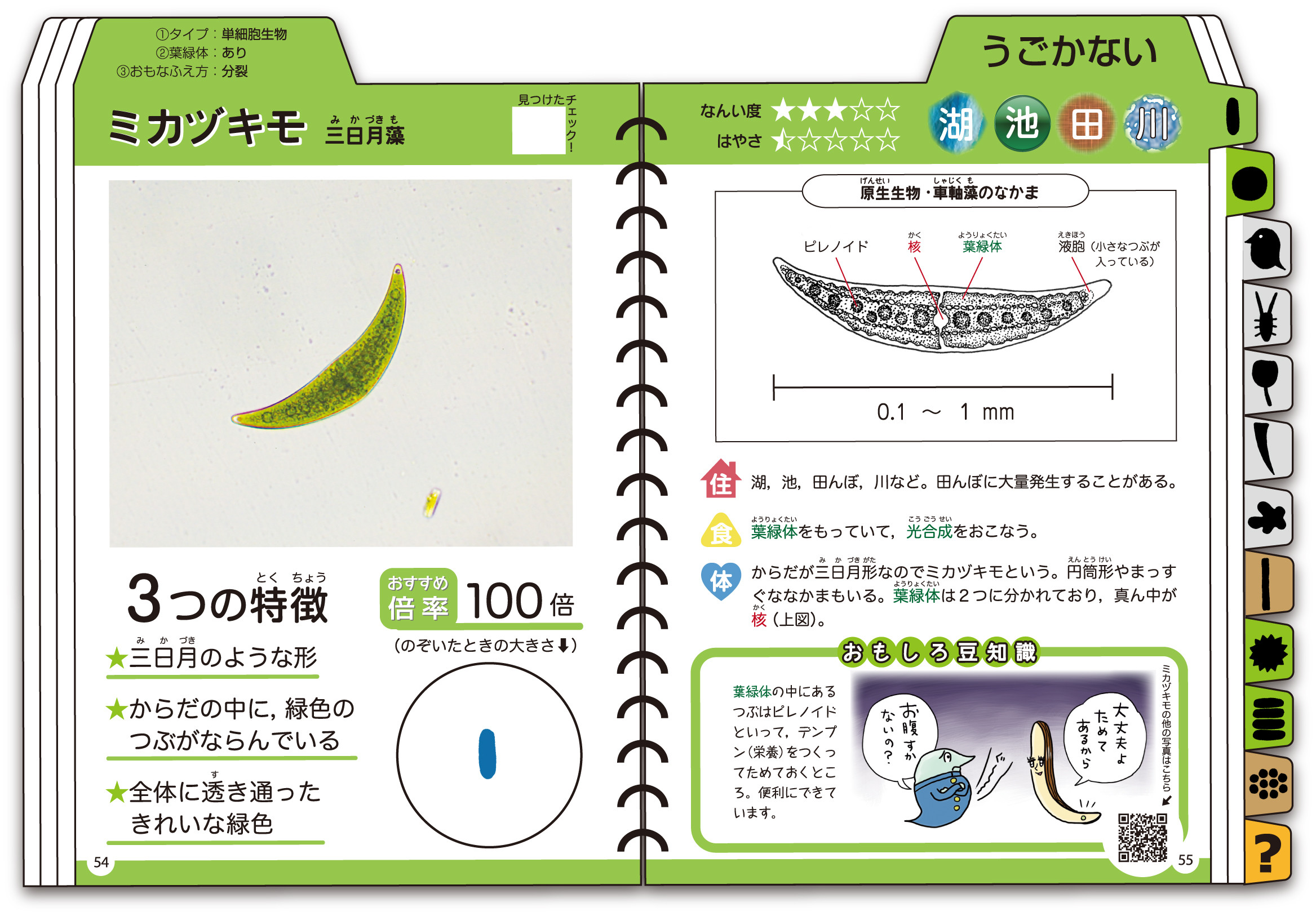 サムネイル画像1