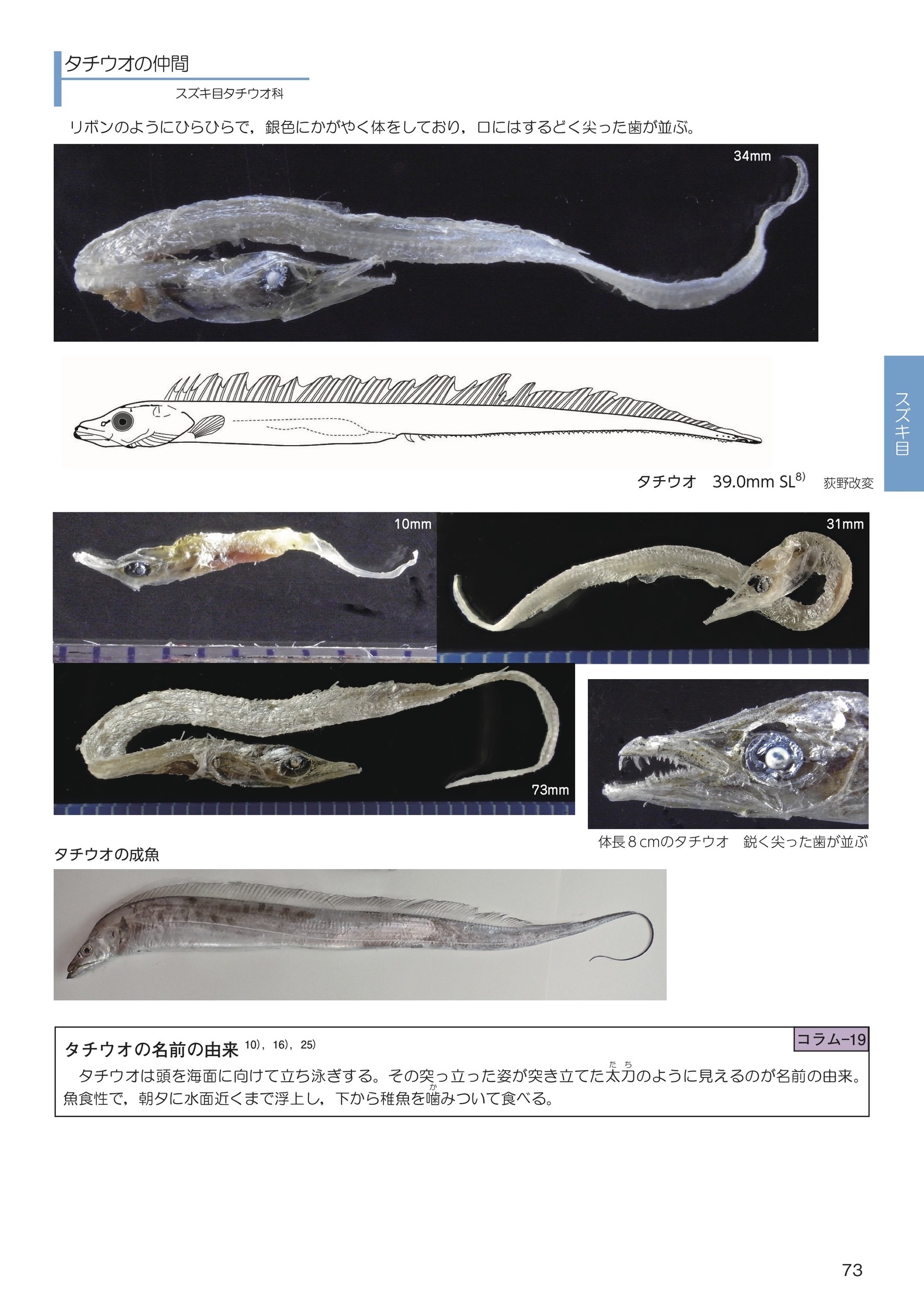 サムネイル画像3