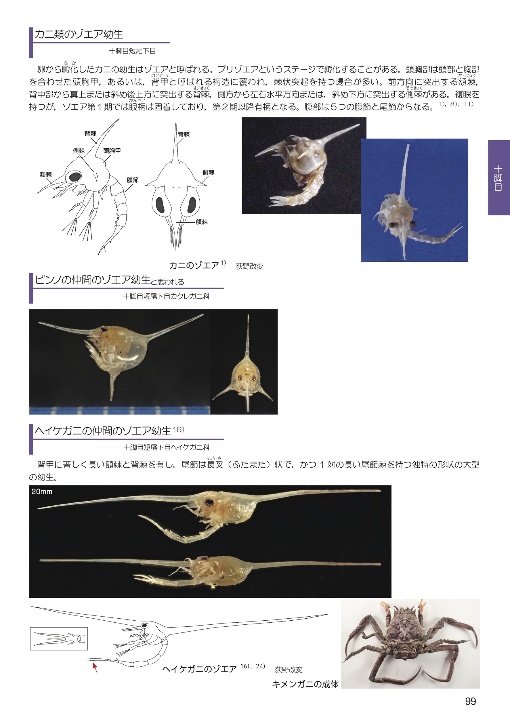 サムネイル画像5