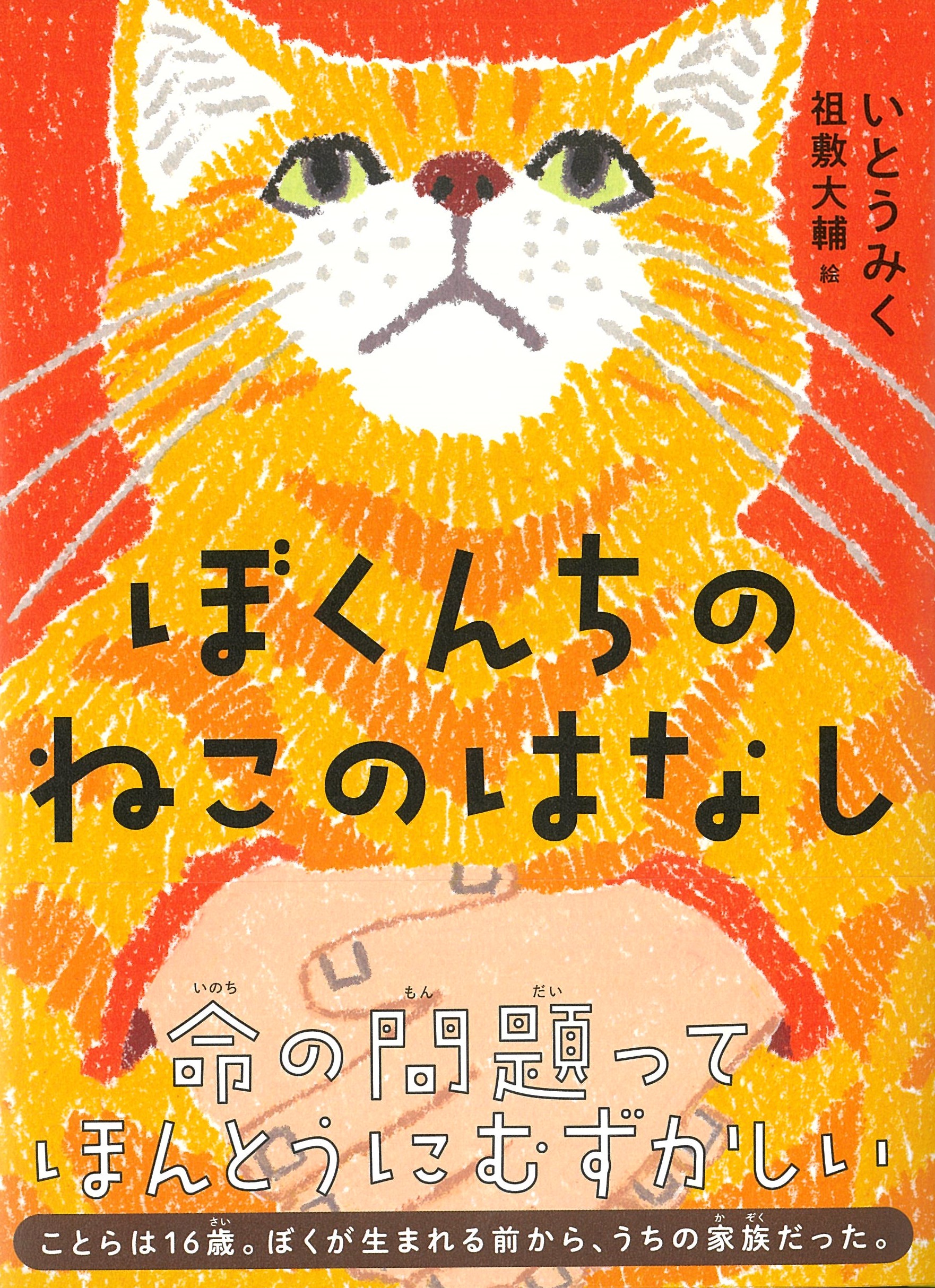 メイン画像