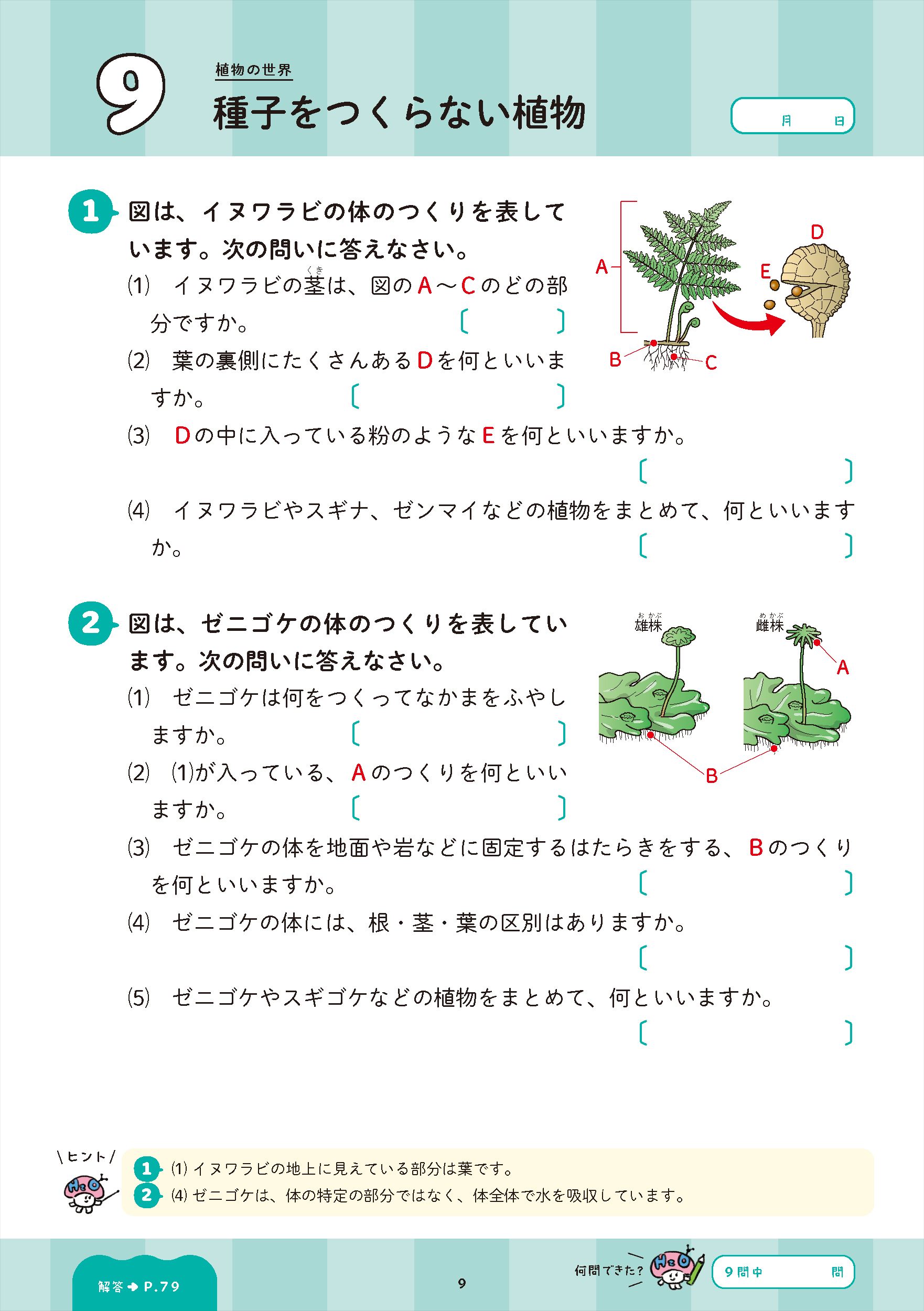 サムネイル画像2