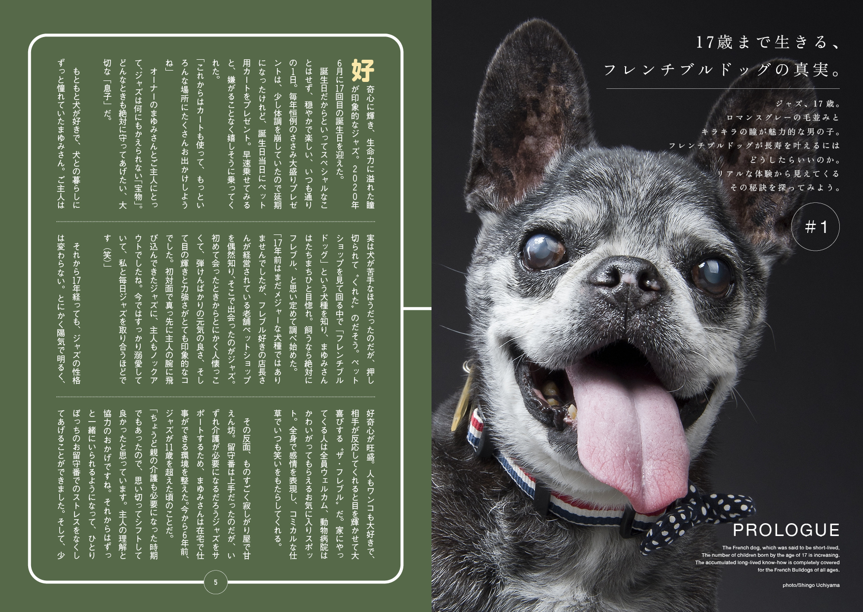 サムネイル画像2