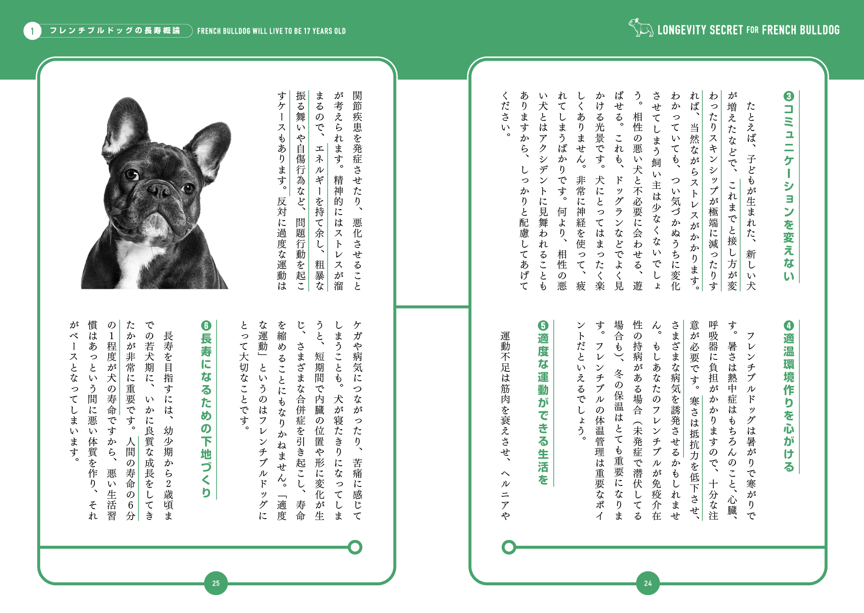 サムネイル画像3