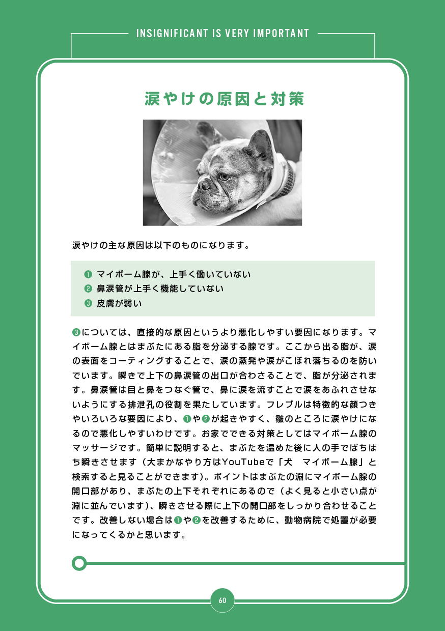 サムネイル画像4