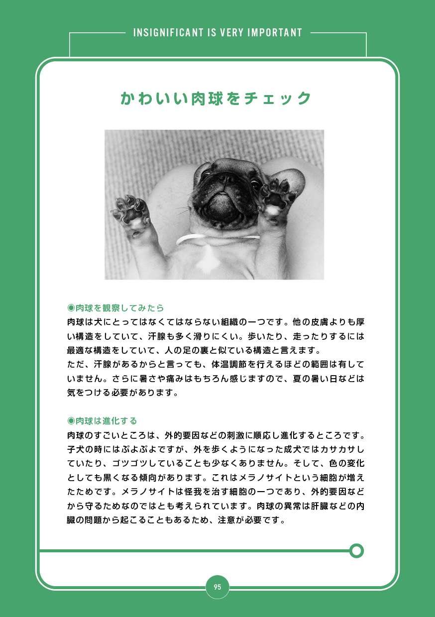 サムネイル画像5