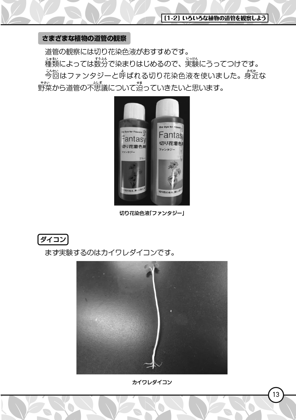 サムネイル画像2